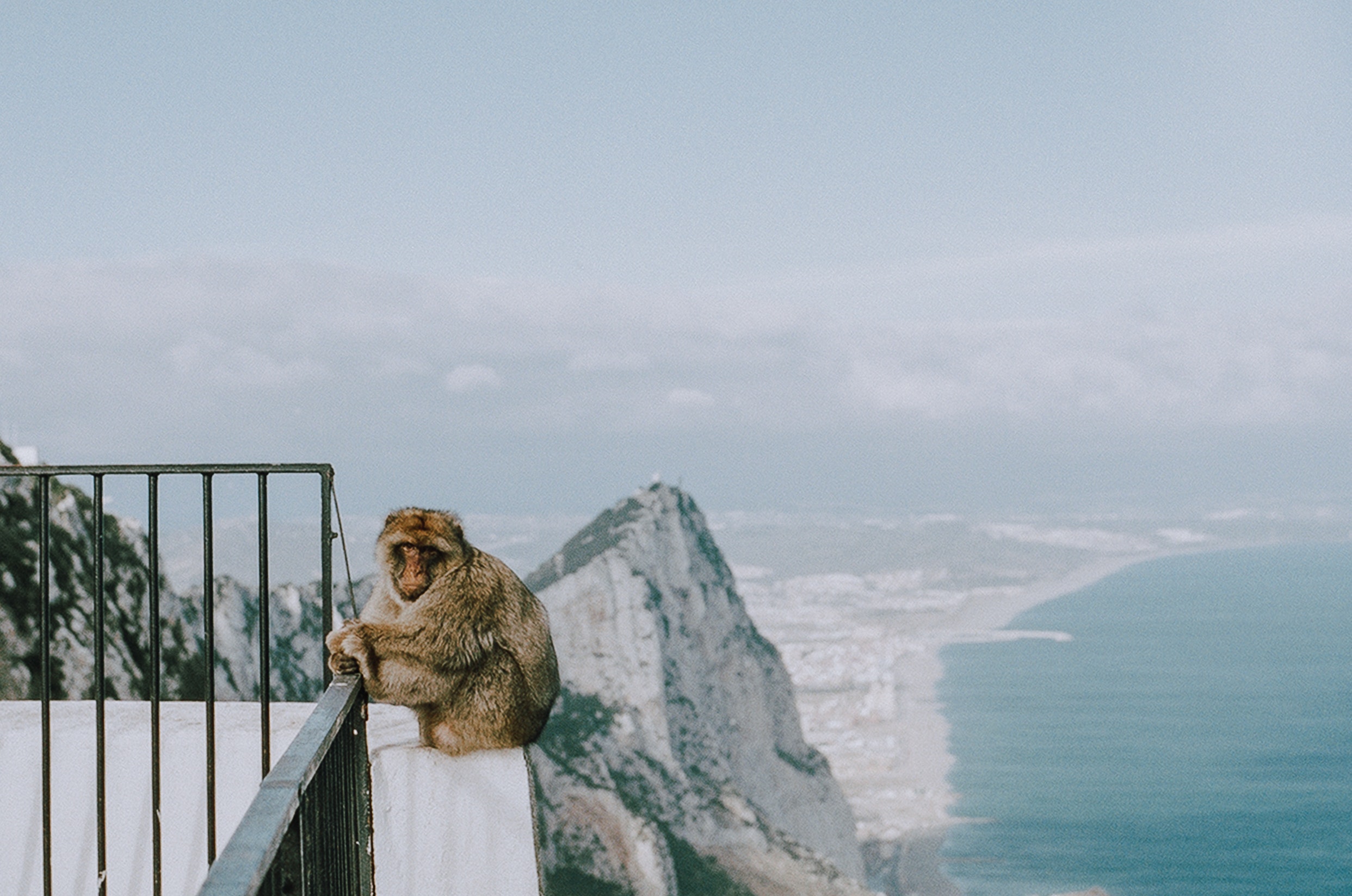 Experiencias en Gibraltar