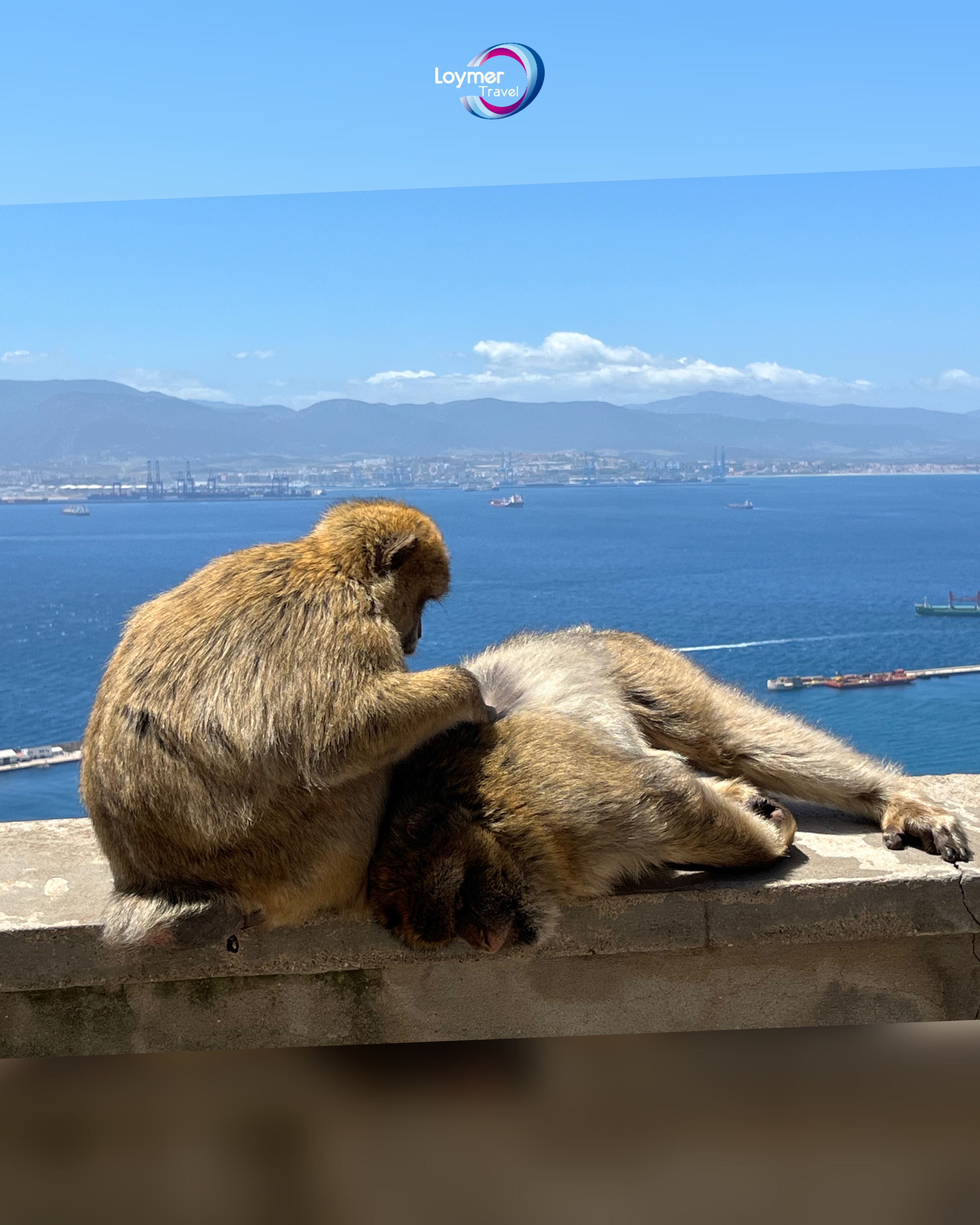 Gibraltar & Puerto Banús