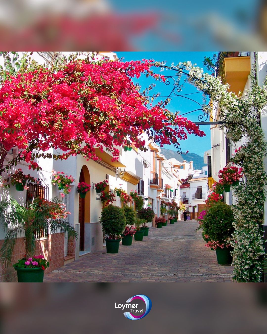 Estepona