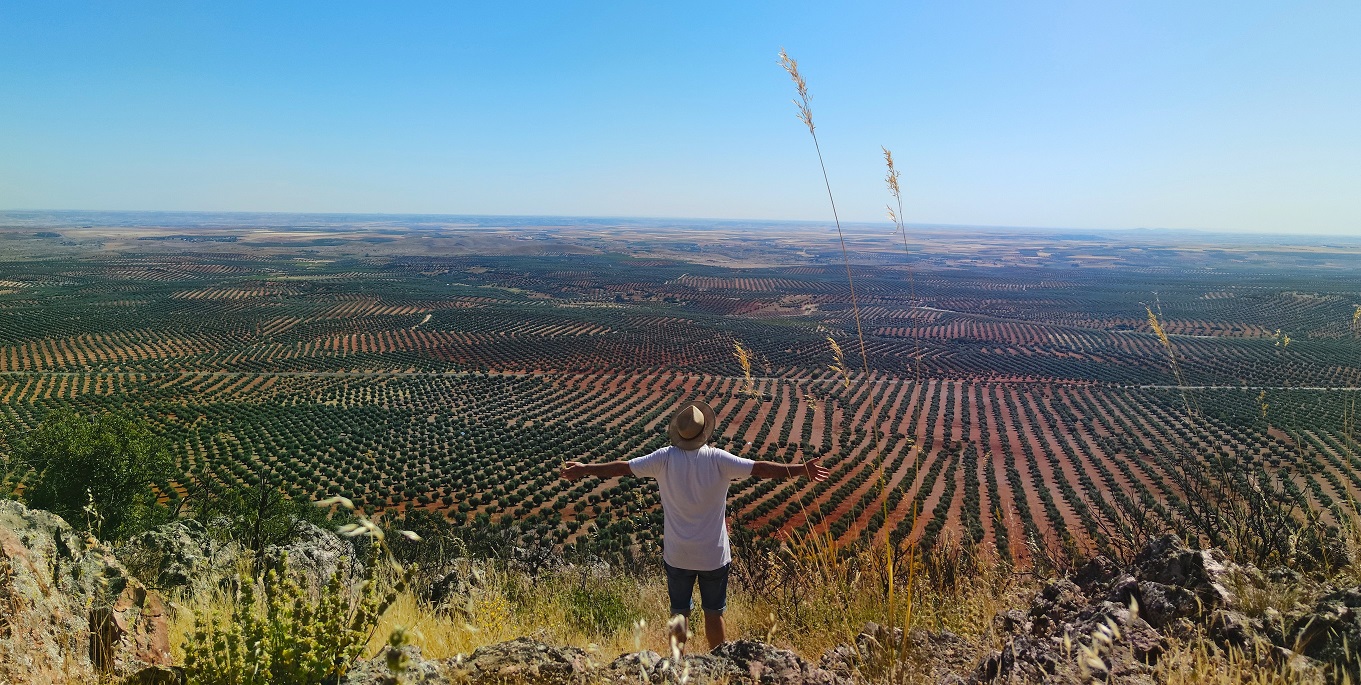 "RUTA DEL ACEITE DE OLIVA D.O." - MONTES DE TOLEDO - MORA Y ORGAZ