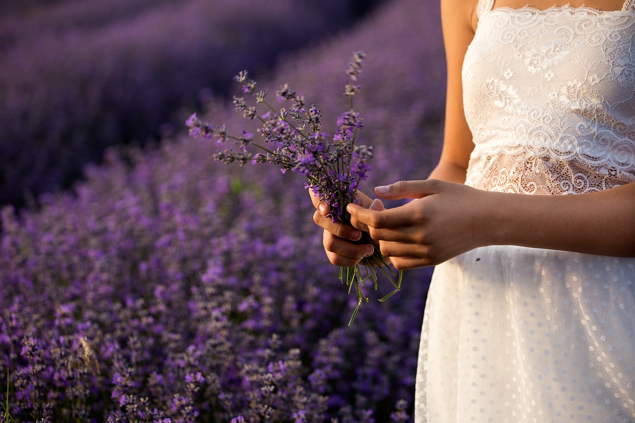 RUTA DE LA LAVANDA