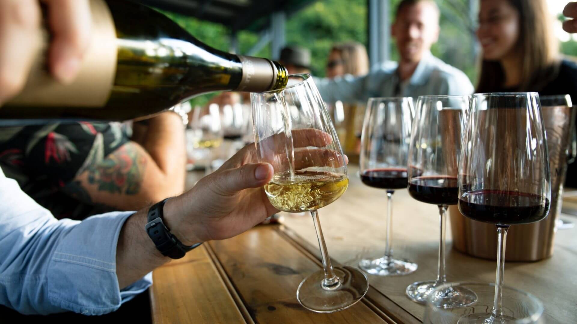 VINOS Y CULTURA CASTELLANO MANCHEGAS