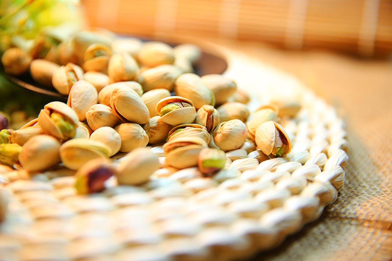 VISITA FINCA DE PISTACHOS
