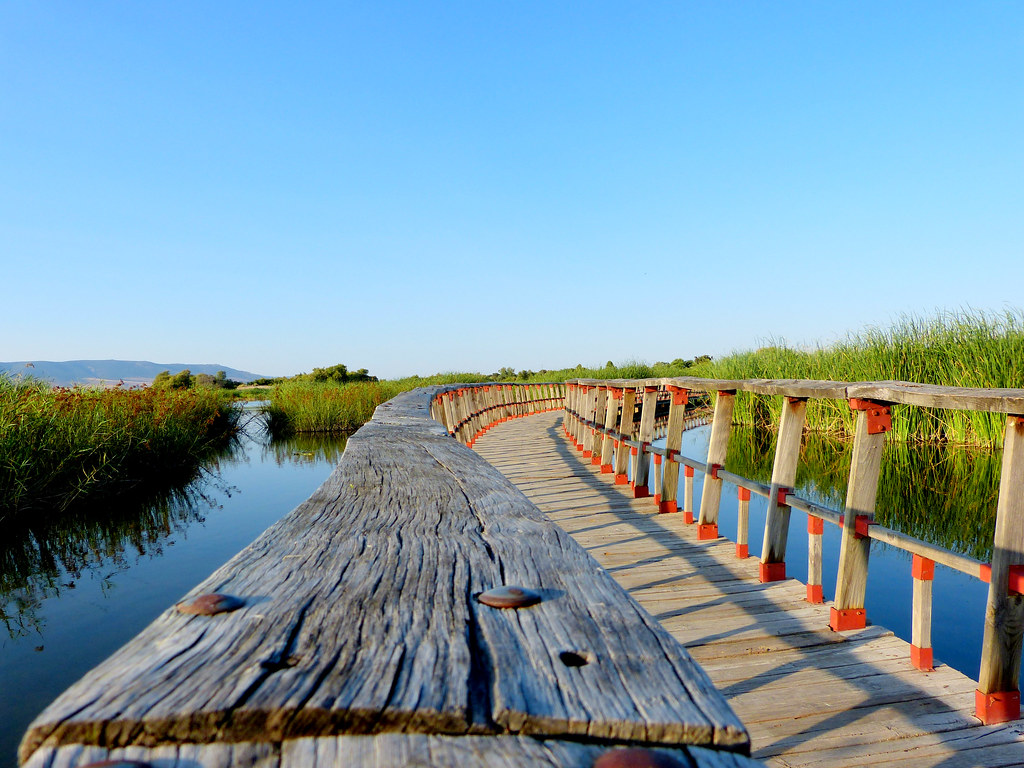 RUTA ESCOLAR DE DAIMIEL Y LA MOTILLA DE AZUER