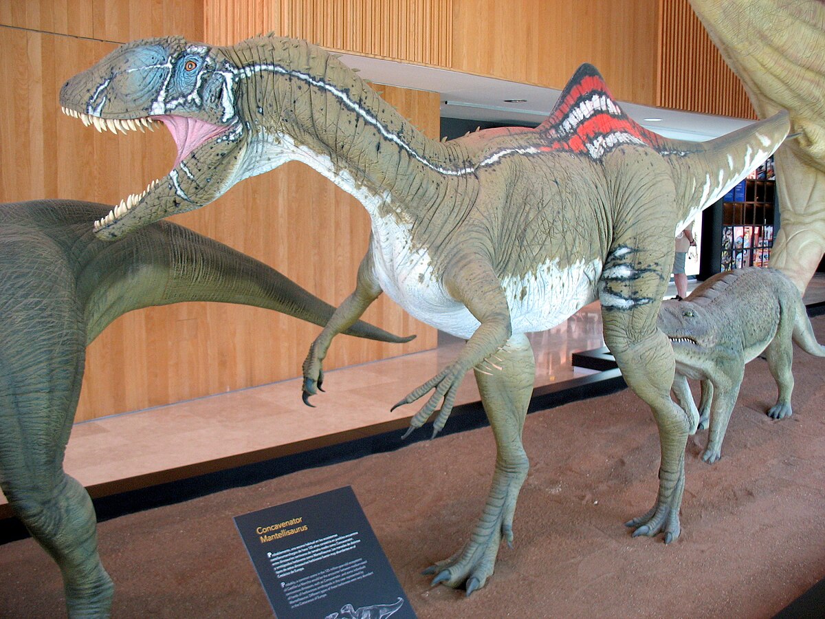 RUTA ESCOLAR AL MUSEO DE LAS CIENCIAS CLM Y MUPA