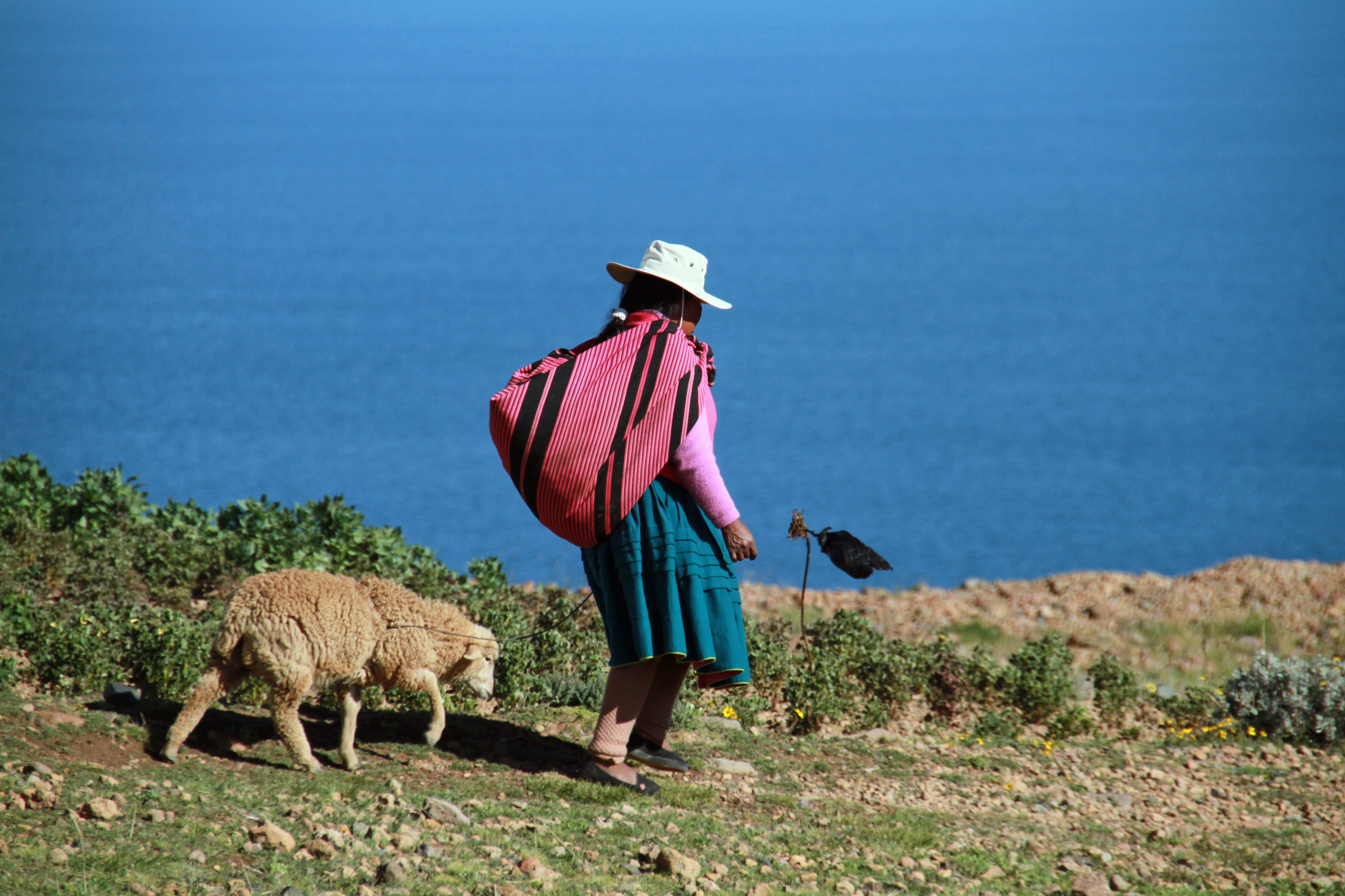 Puno / Cuzco