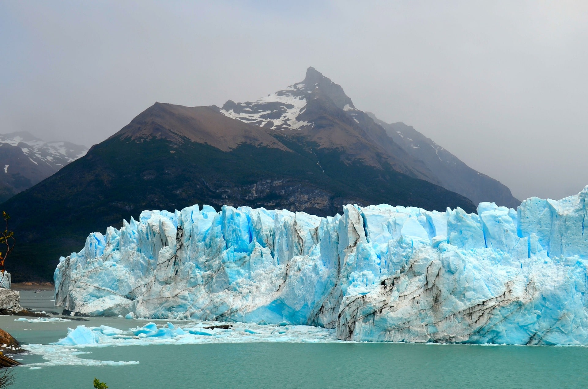 Calafate