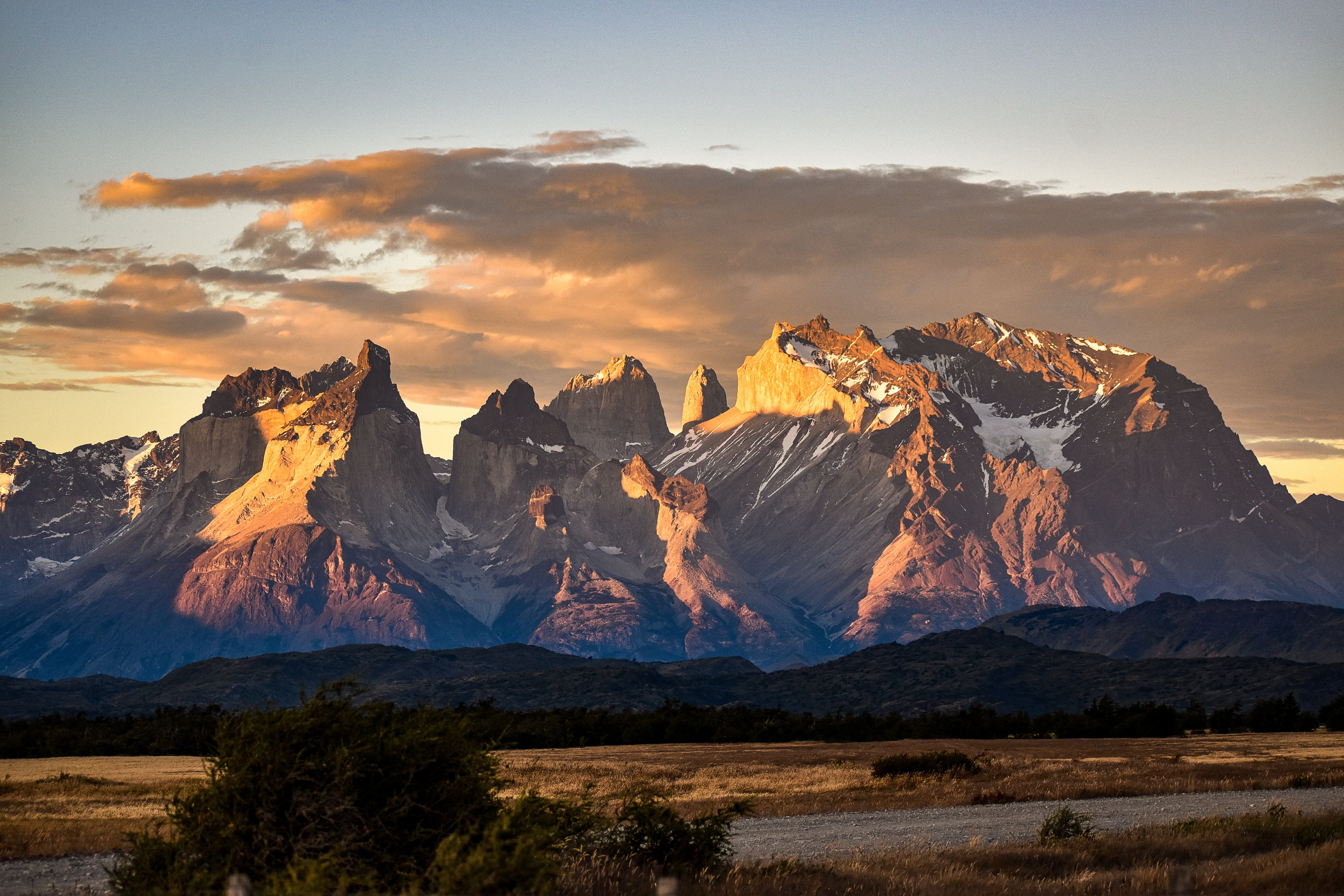 Calafate