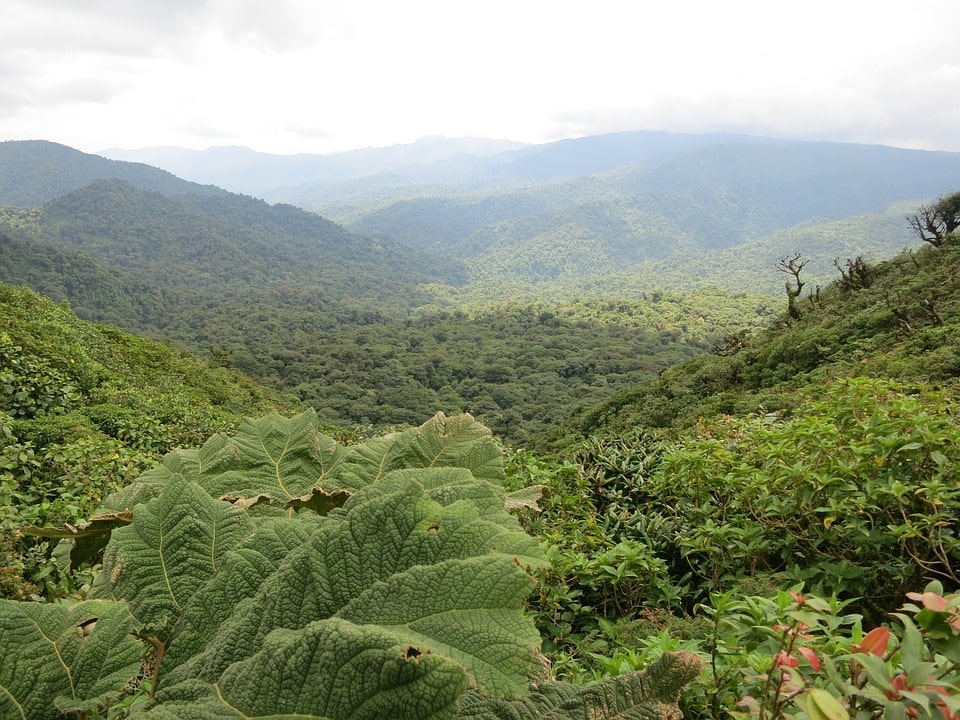 Costa Rica Mágica con Manuel Antonio en tu 4x4
