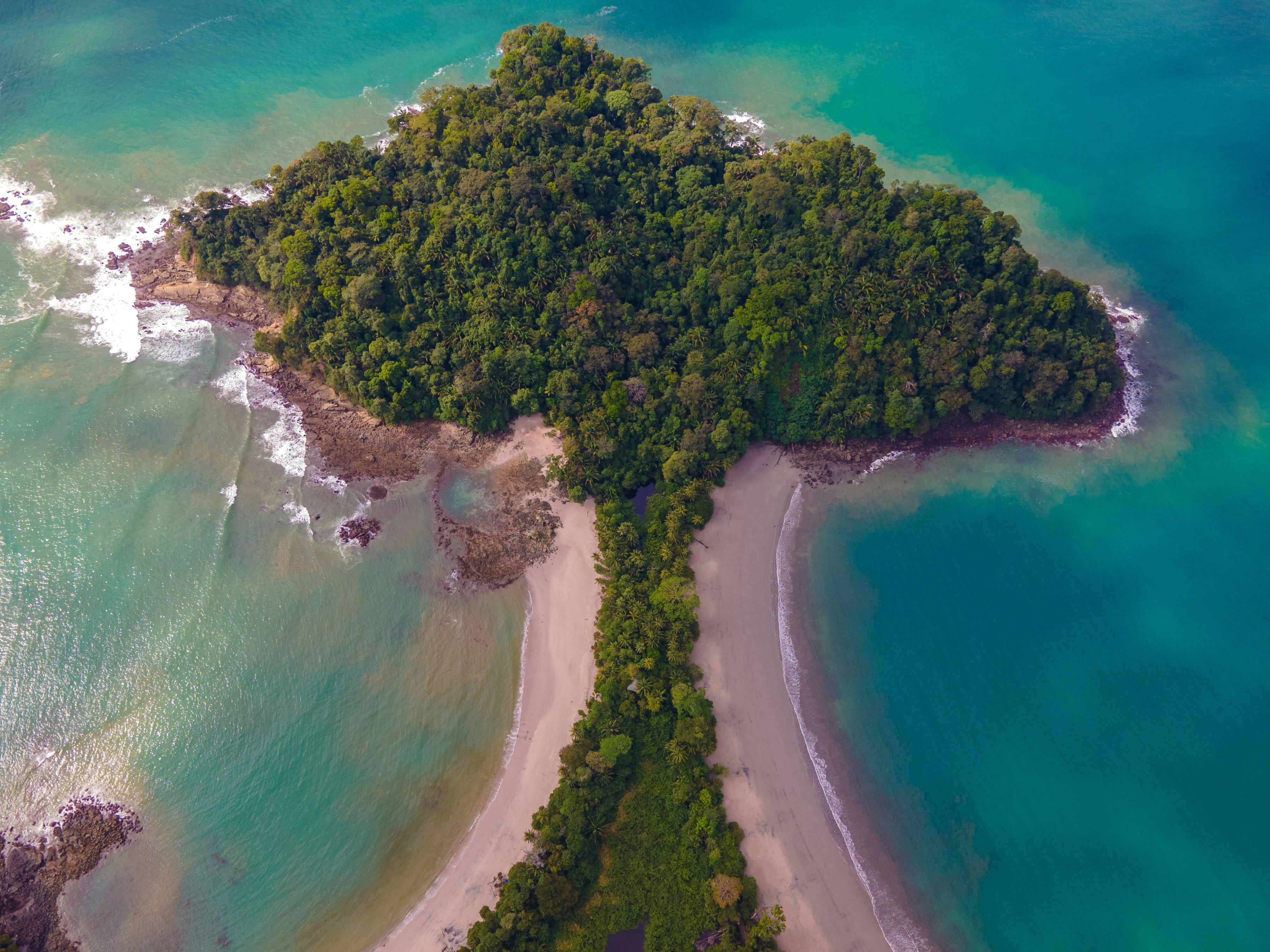 Monteverde / Manuel Antonio