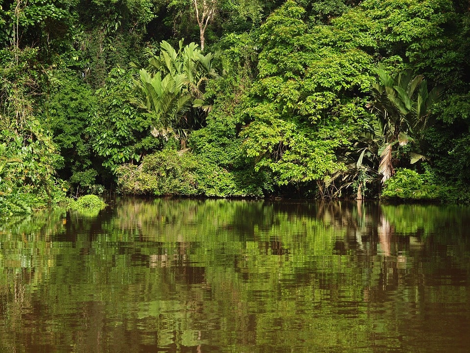 Costa Rica Mágica con Manuel Antonio en tu 4x4
