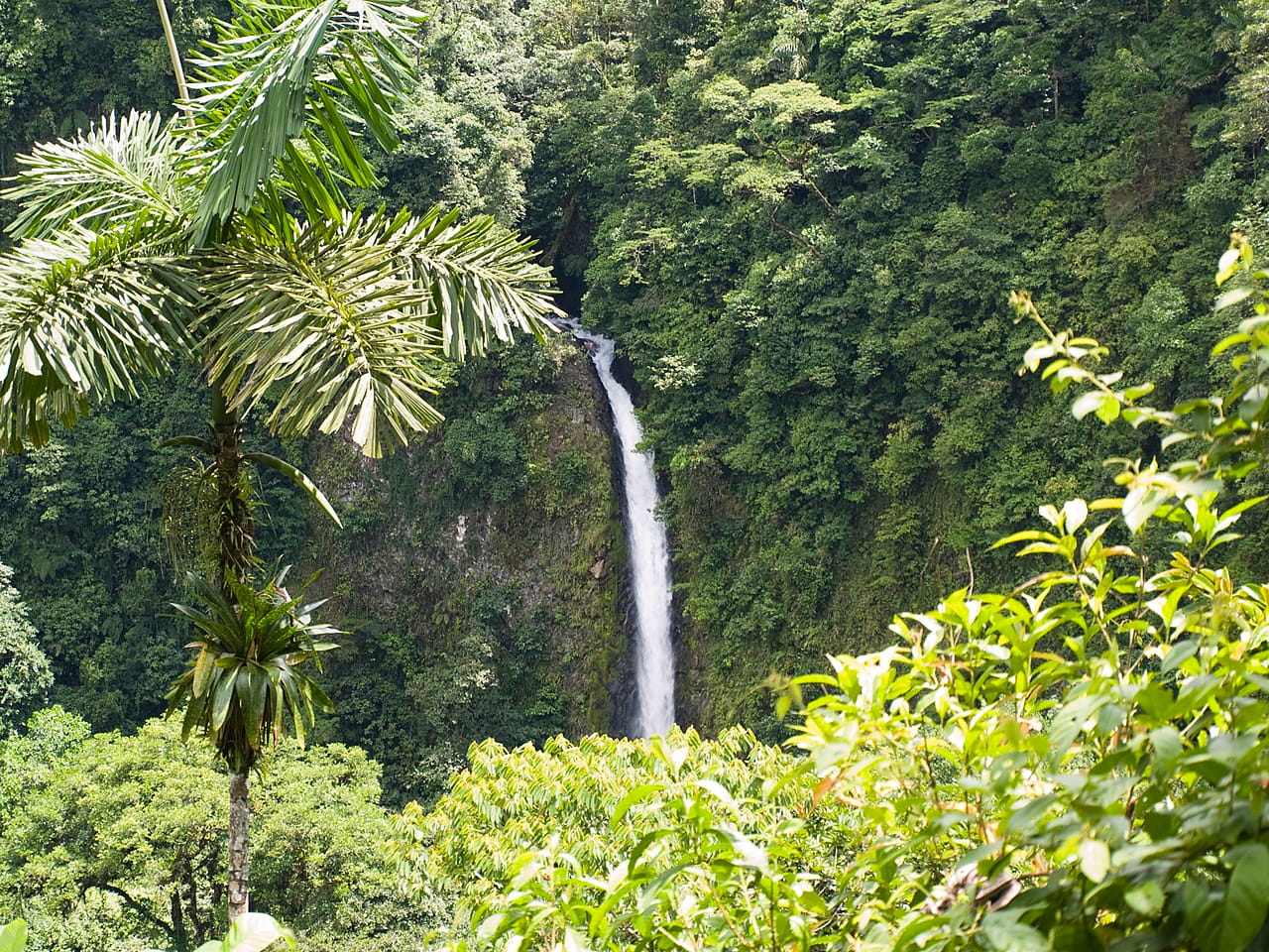 Puerto Viejo /  Volcán Arenal