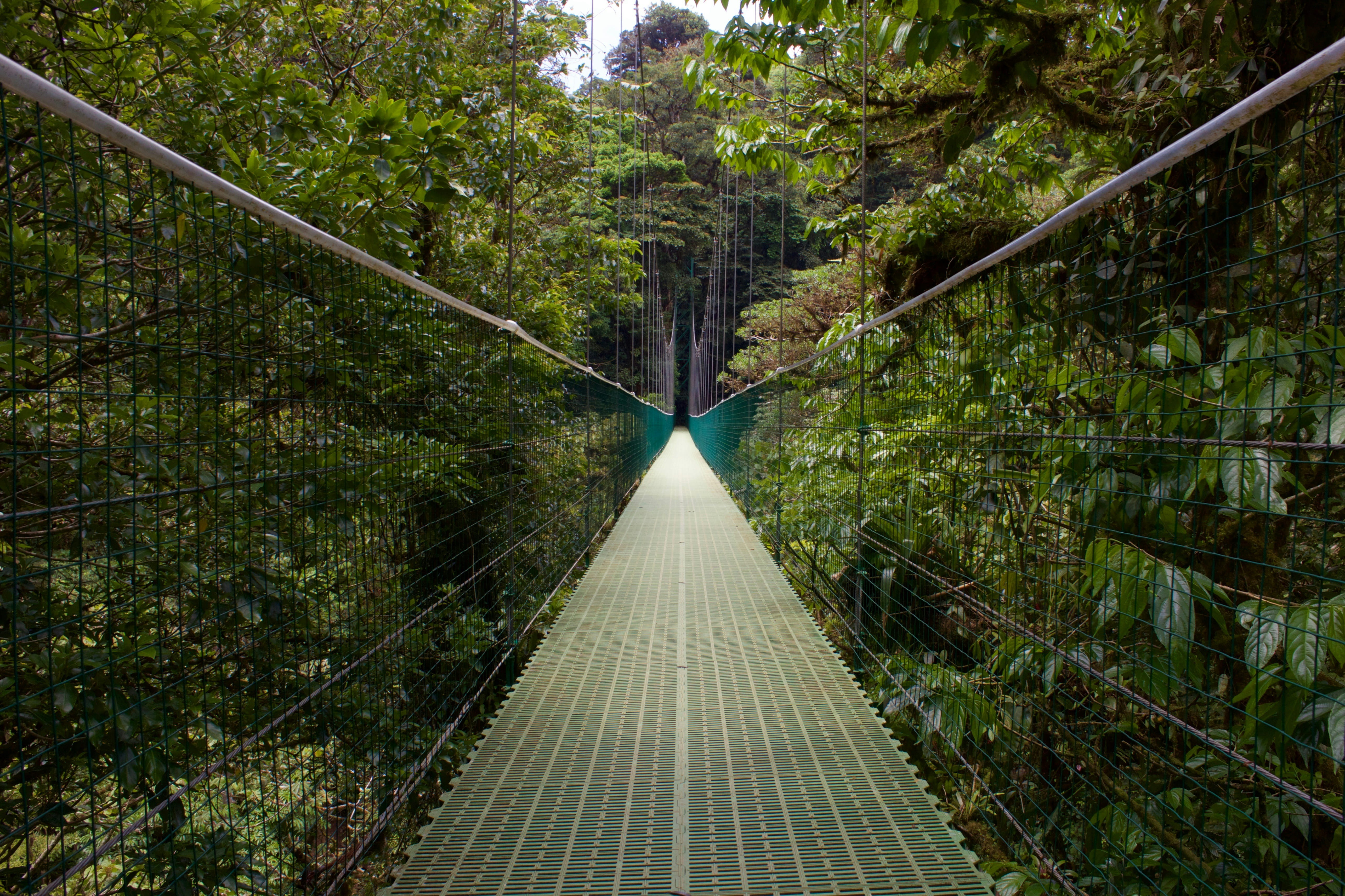 Volcán Arenal / Monteverde