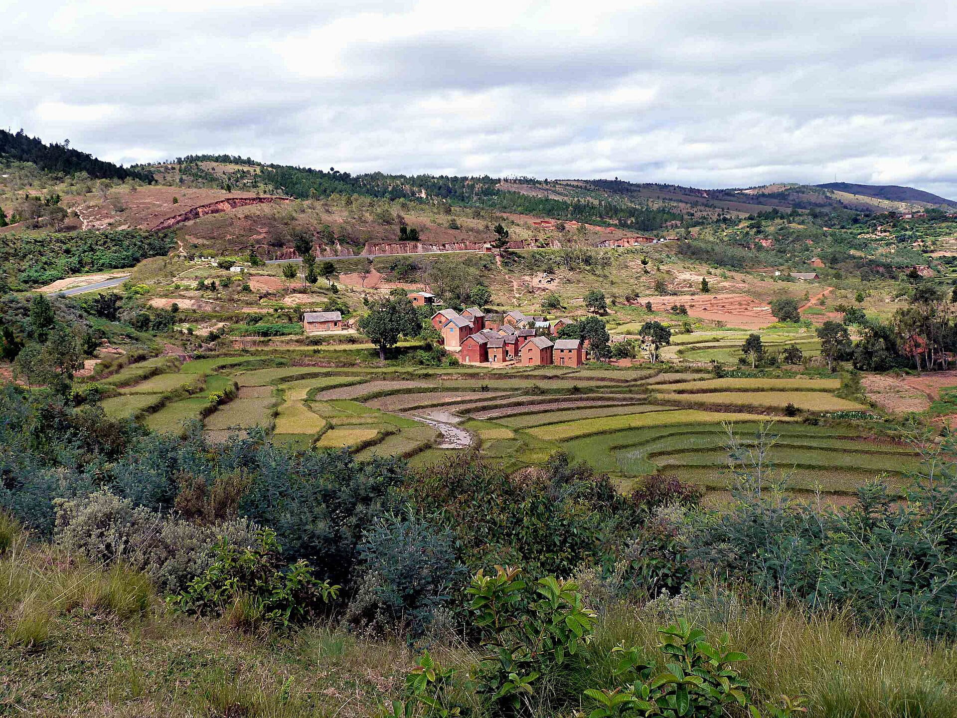 Parque Nacional Andasibe / Behenjy / Antsirabe