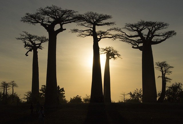 Madagascar: esencias del Sur