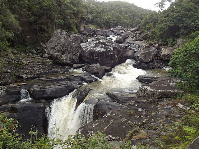 Parque Nacional de Ranomafana / Sahambavy