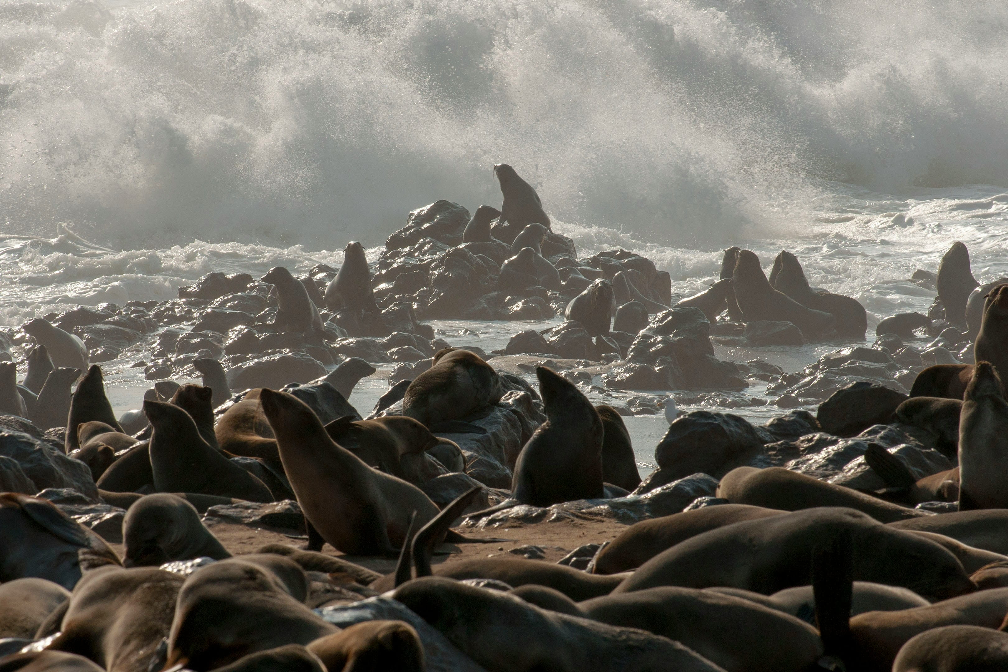 Swakopmund / Twyfelfontein