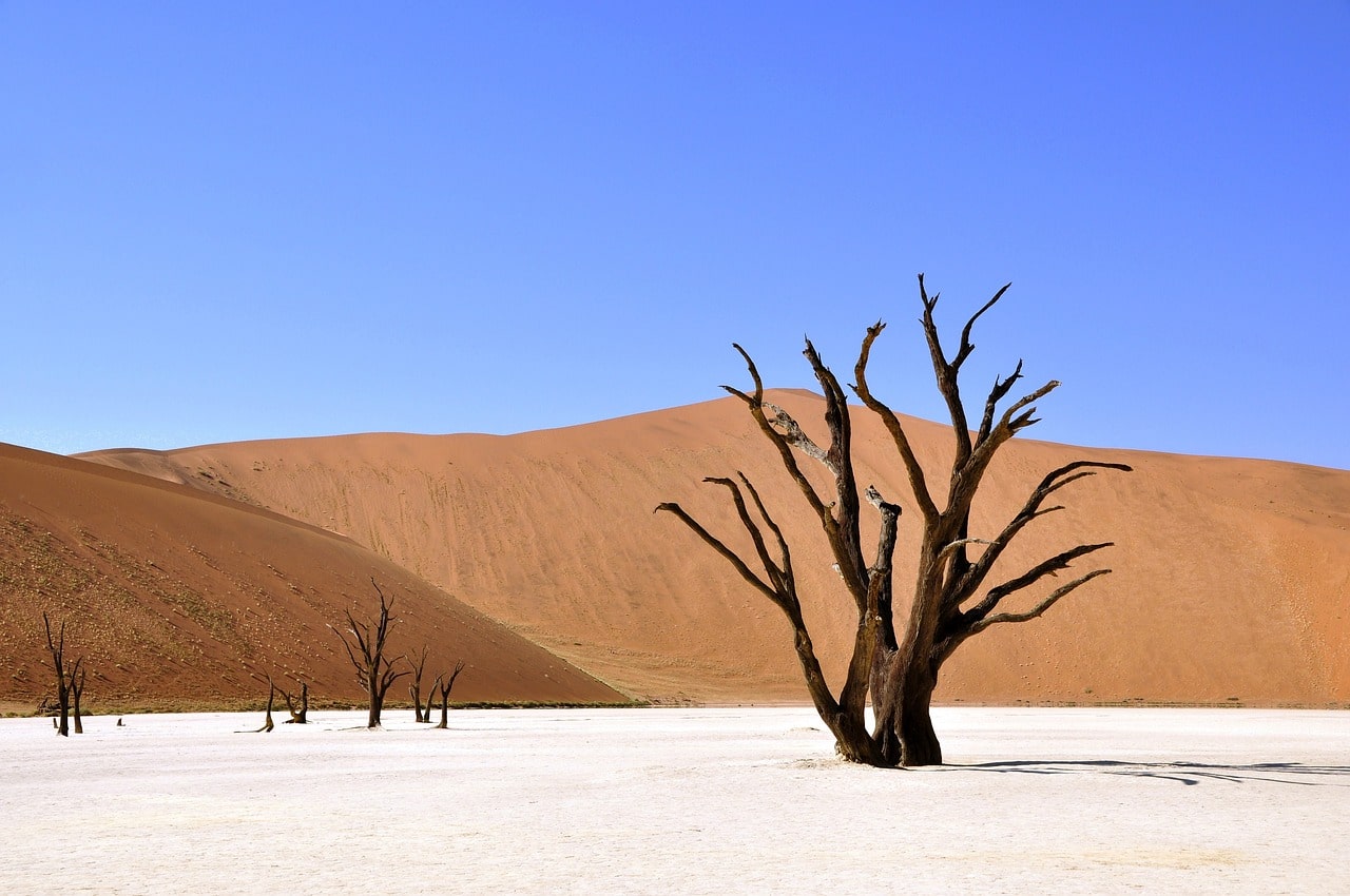 Esencias de Namibia