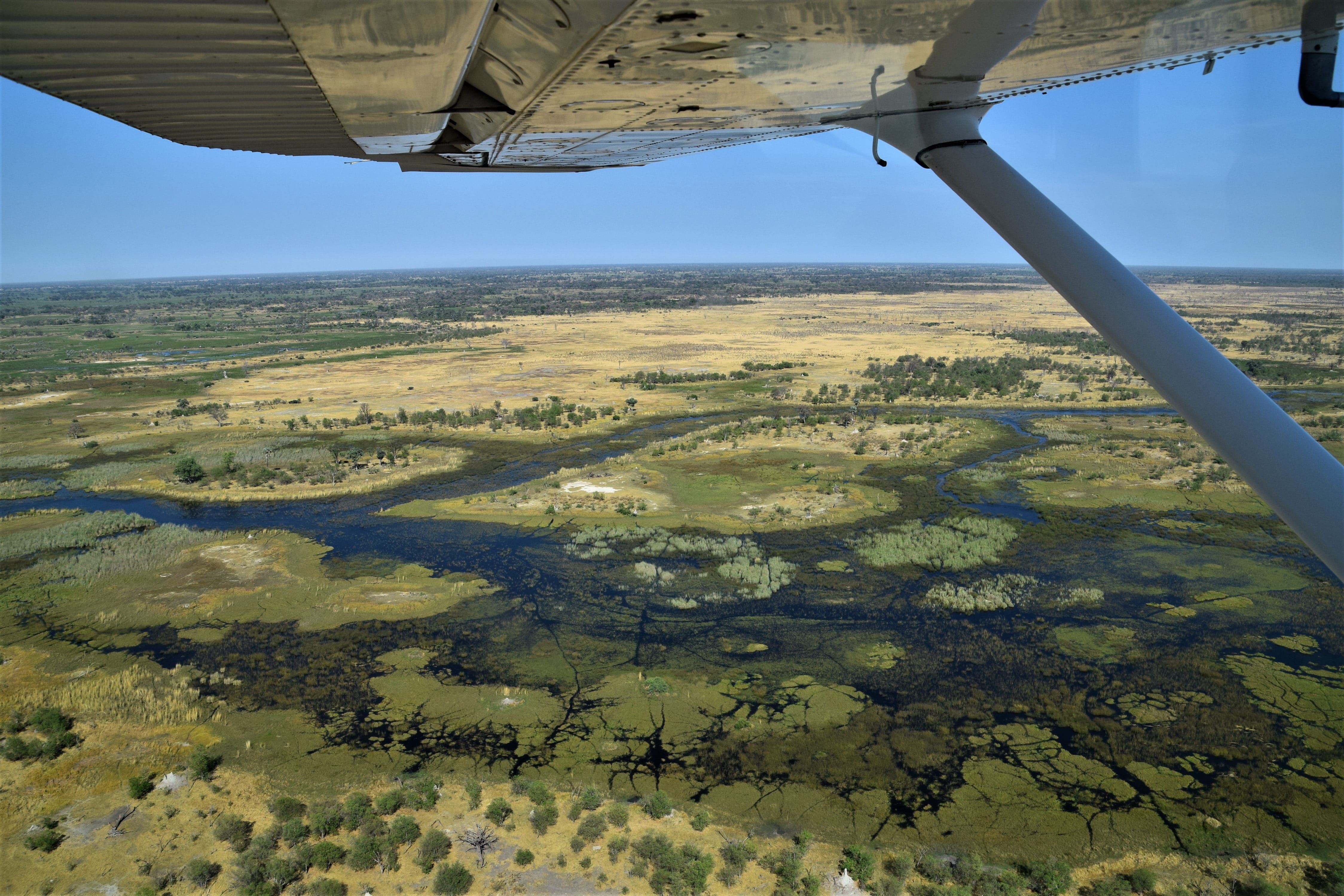 España / Maun