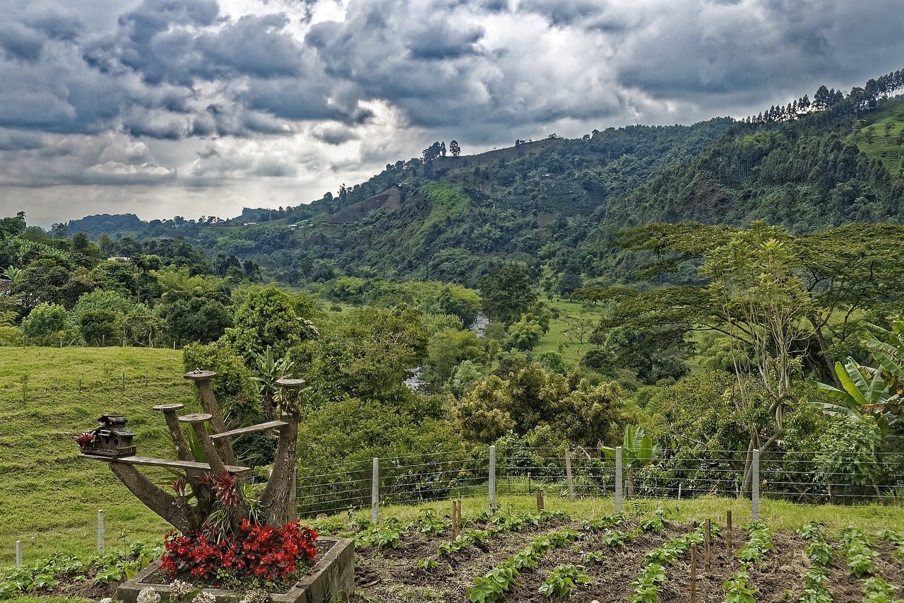 Bogotá, Paisaje Cafetero y Cartagena