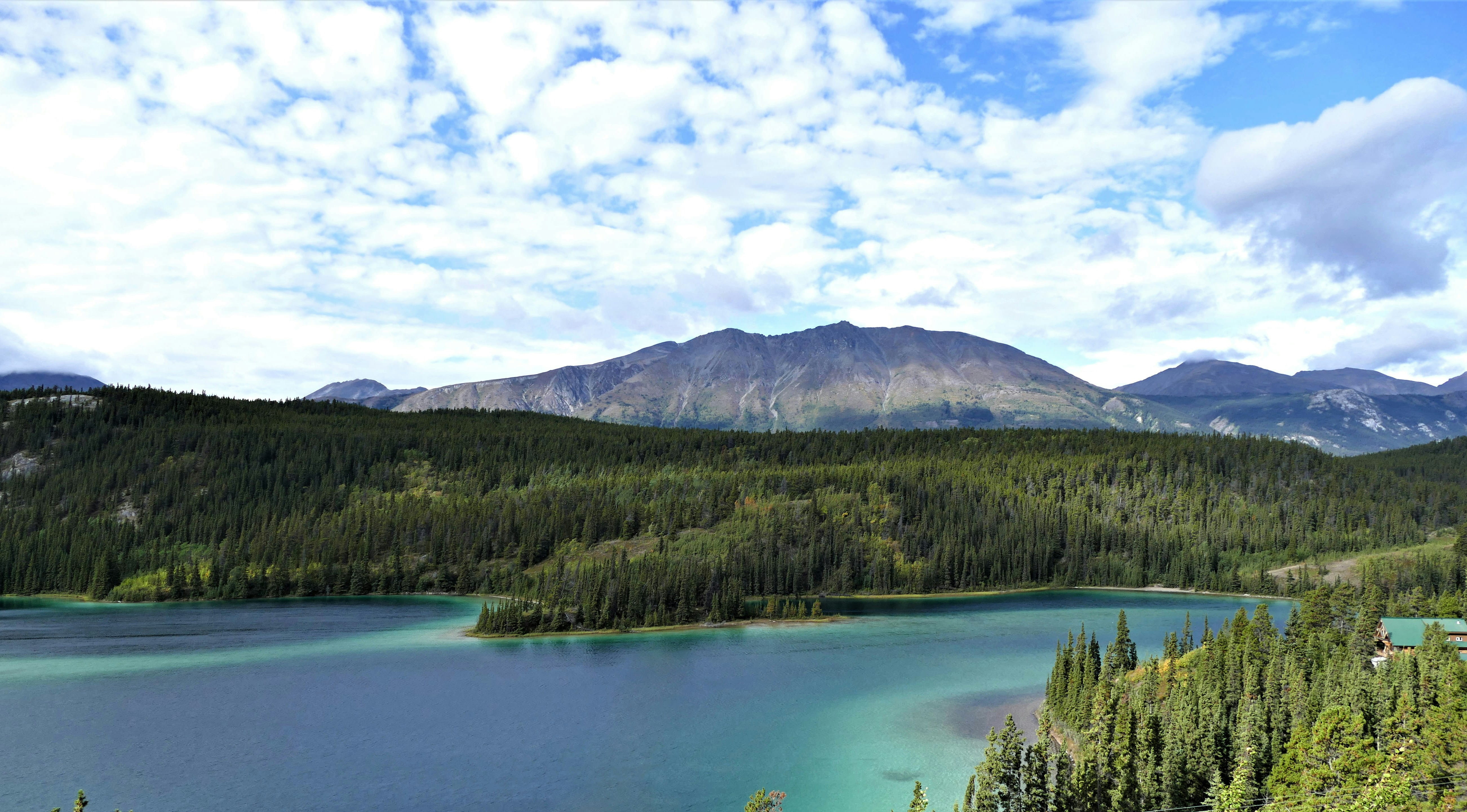 Whitehorse