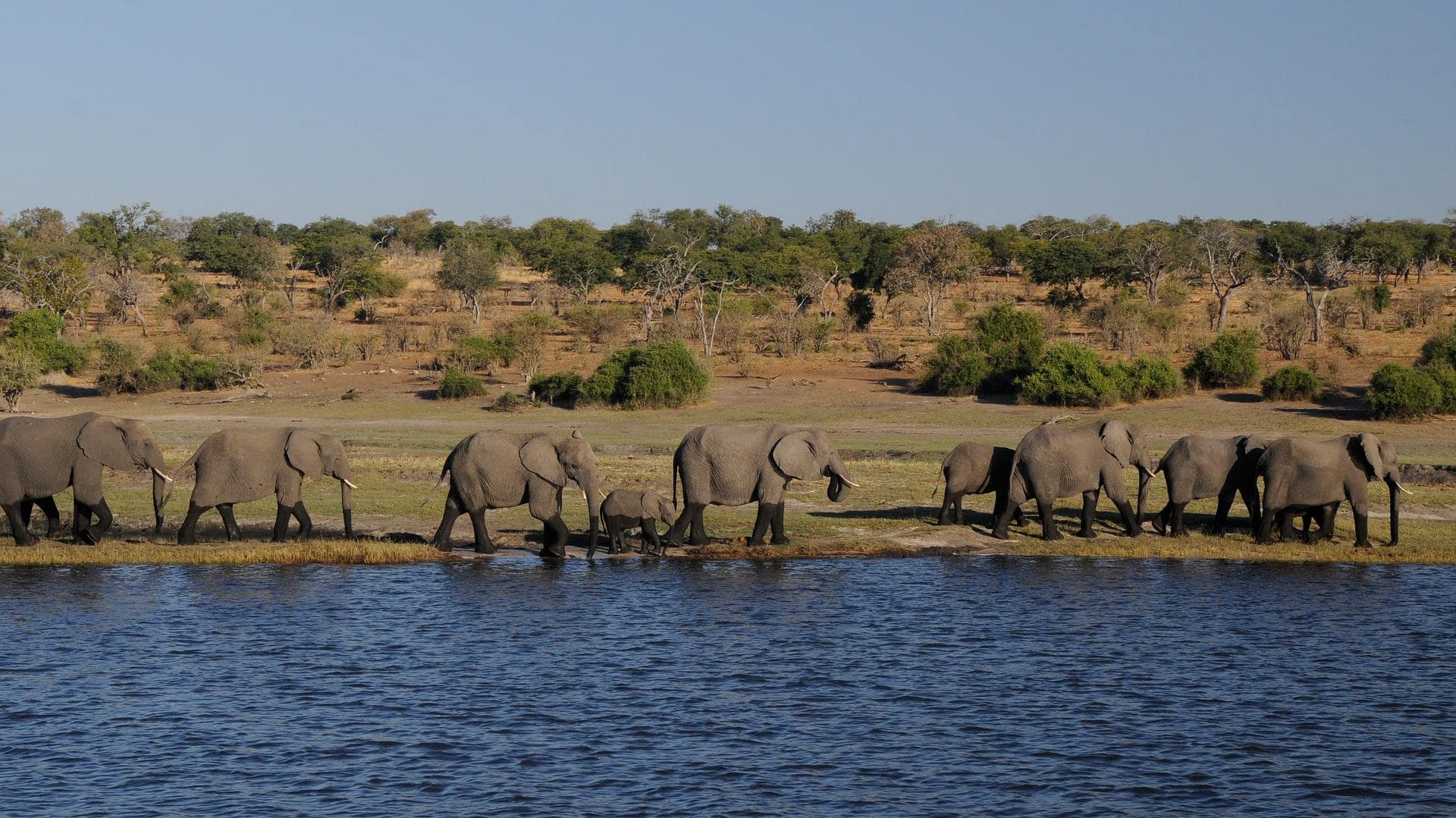 Delta del Okavango / Kasane