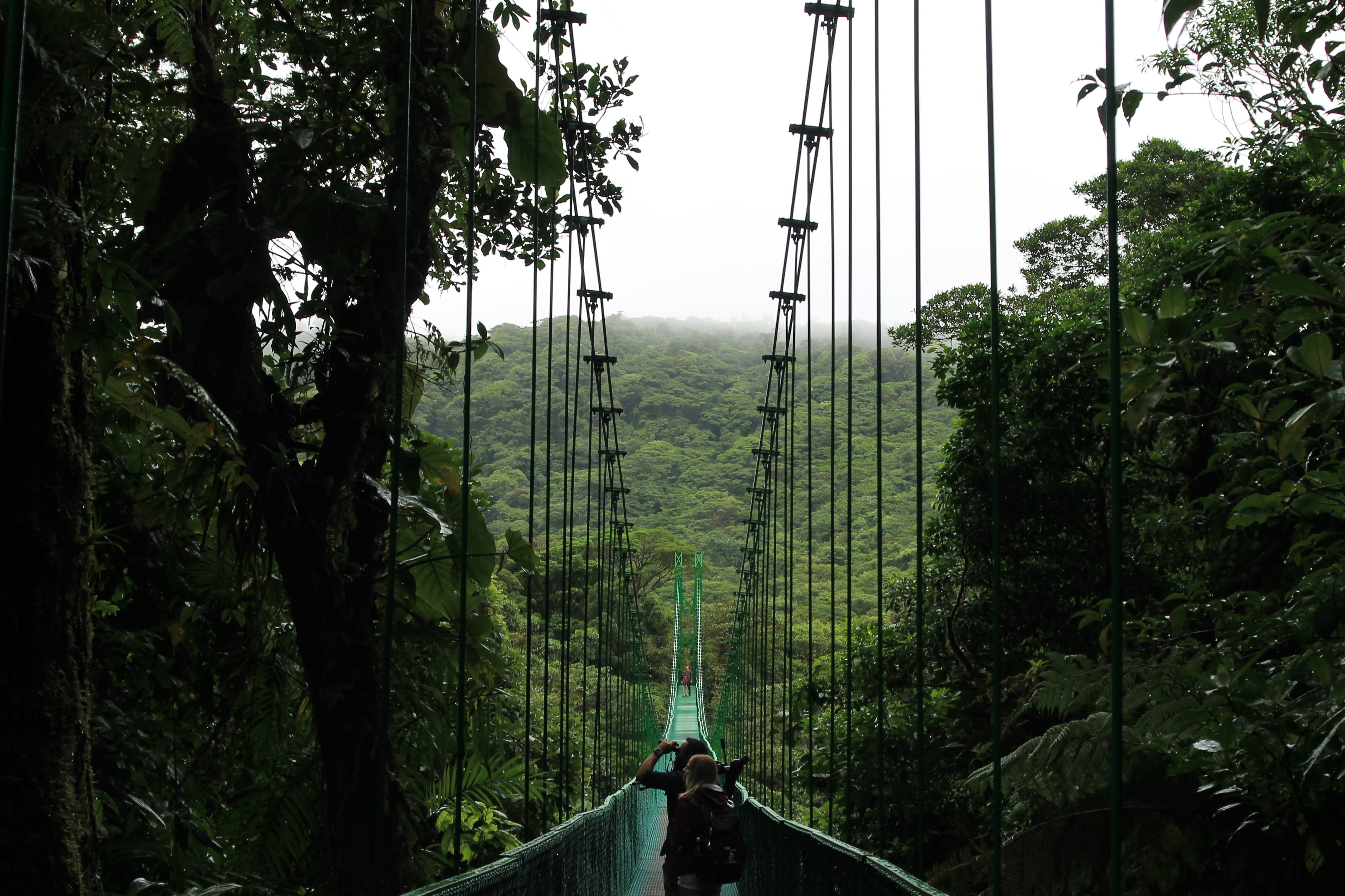 Monteverde: día libre