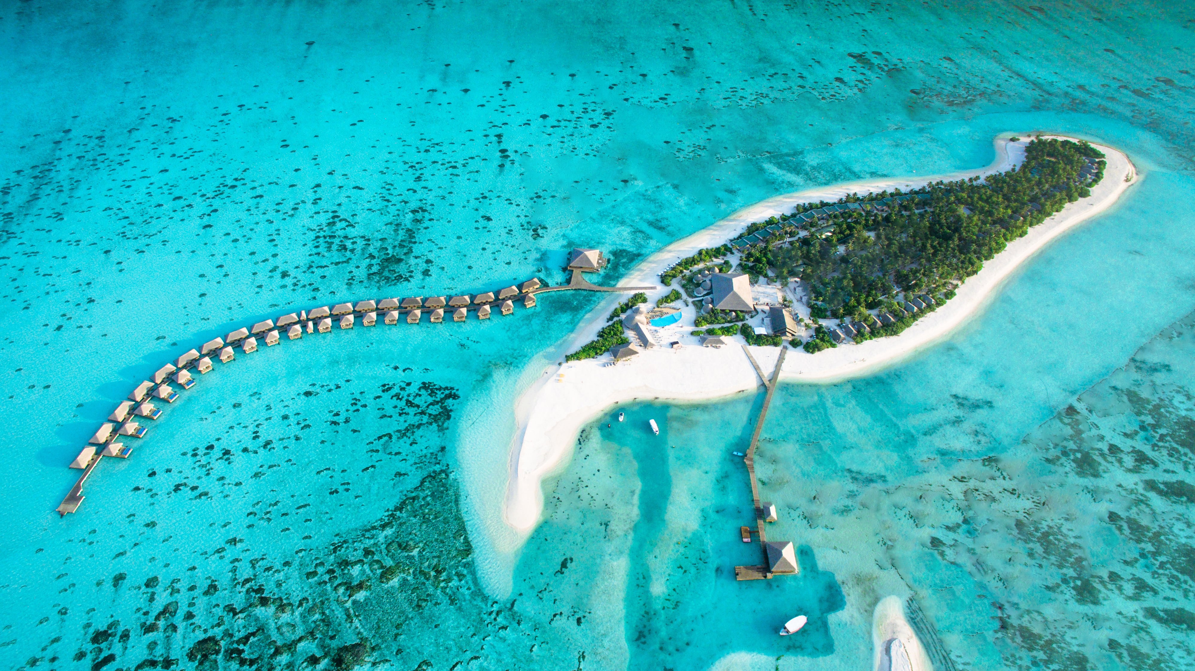 Hotel Cocoon Maldives (5*) Todo Incluido