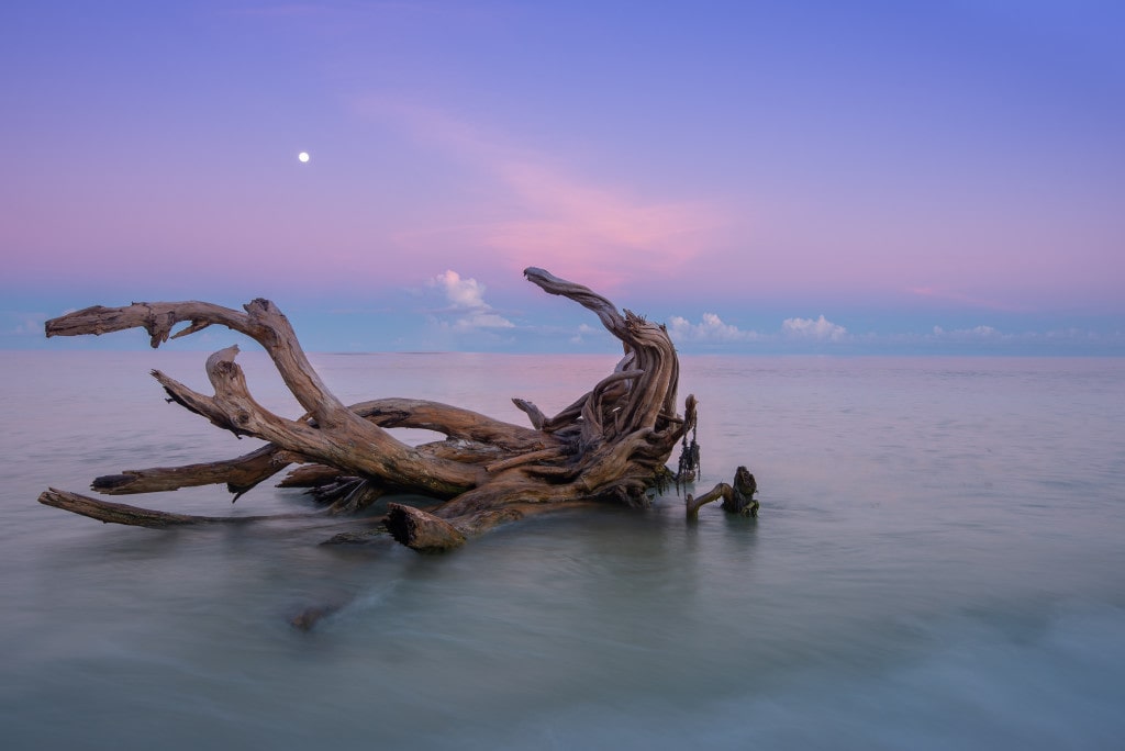 Denis Island
