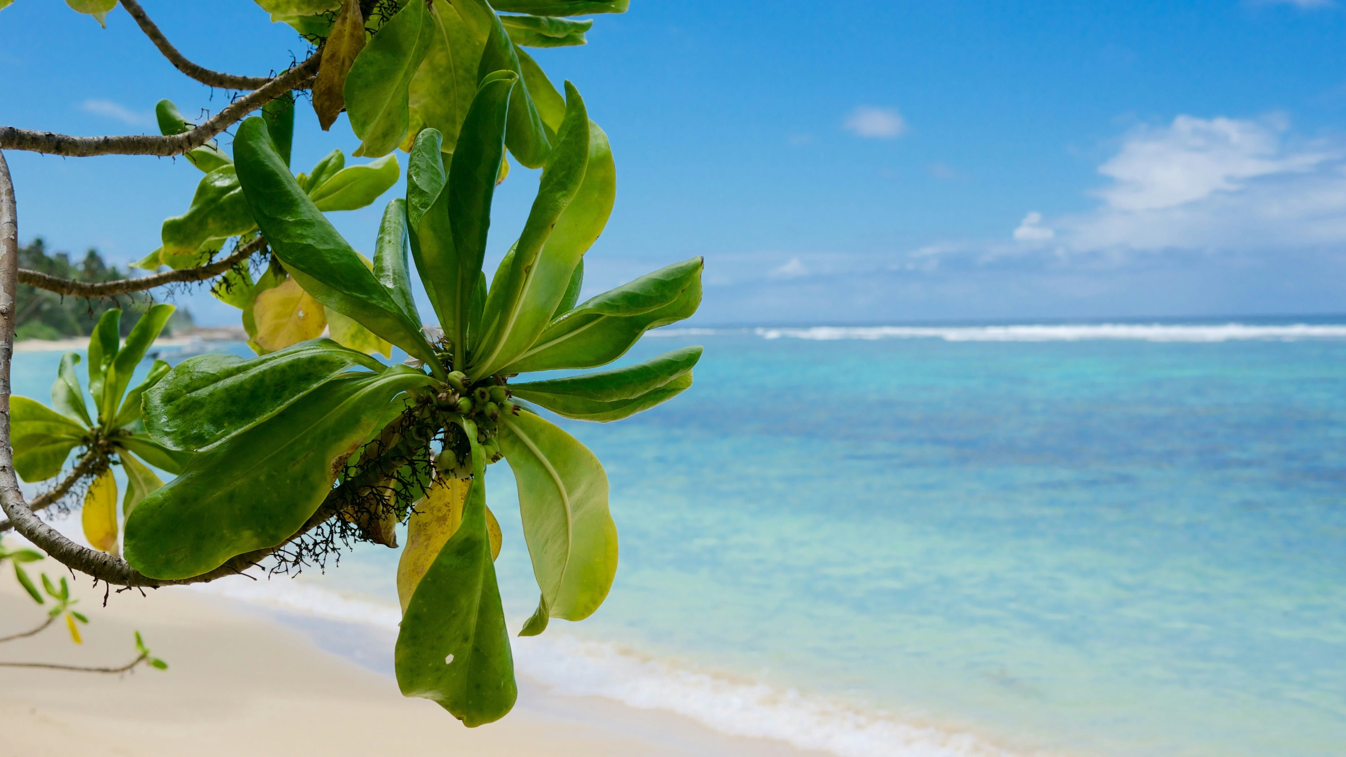 España / Mahé (Seychelles)