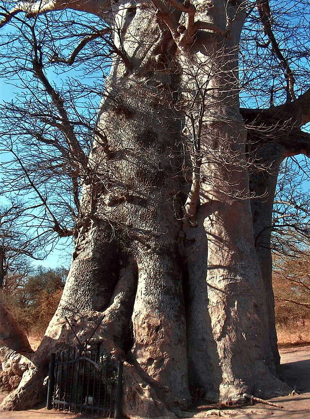 Morombe / Manja (195km ± 8h)