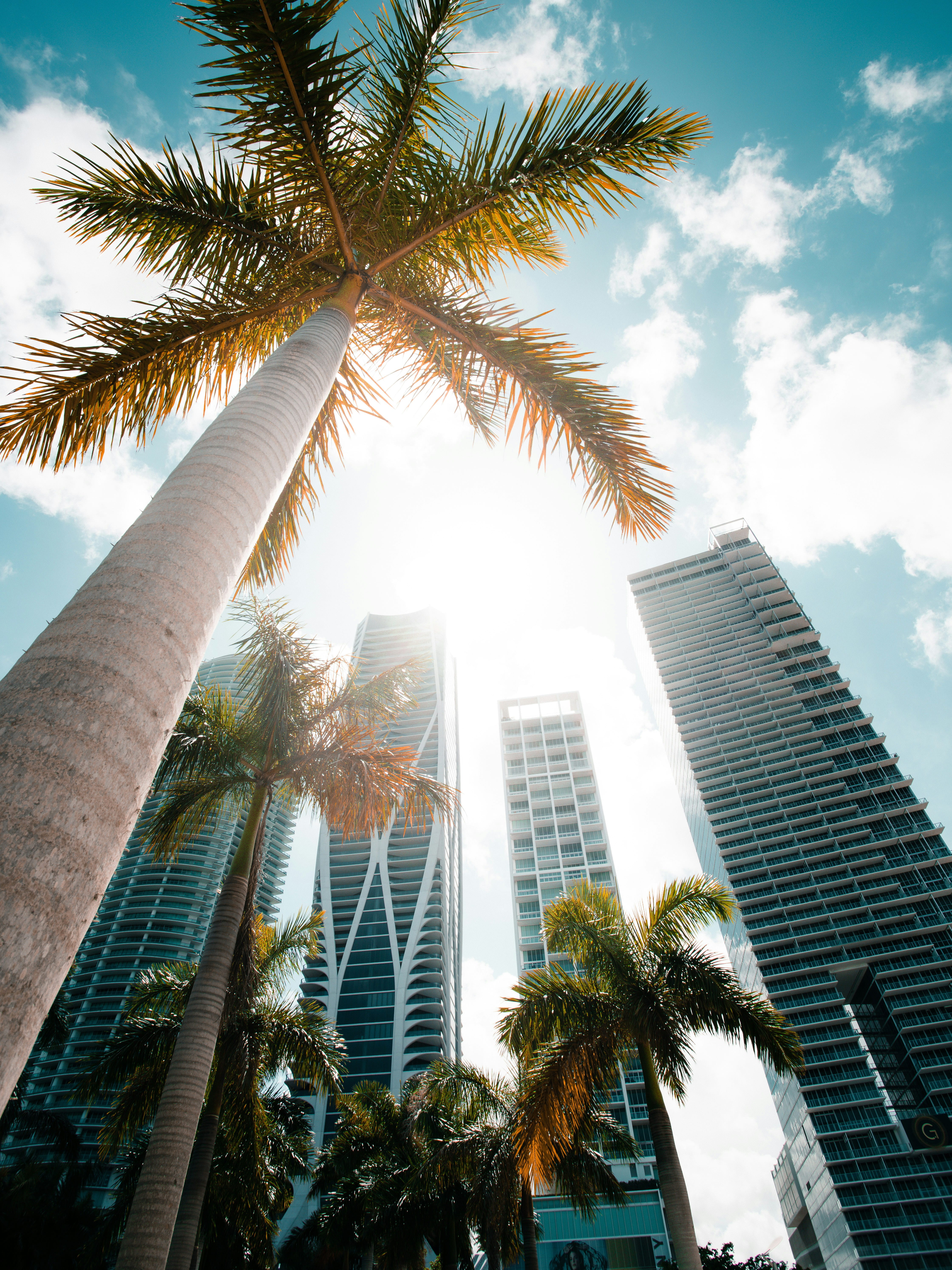 España / Miami
