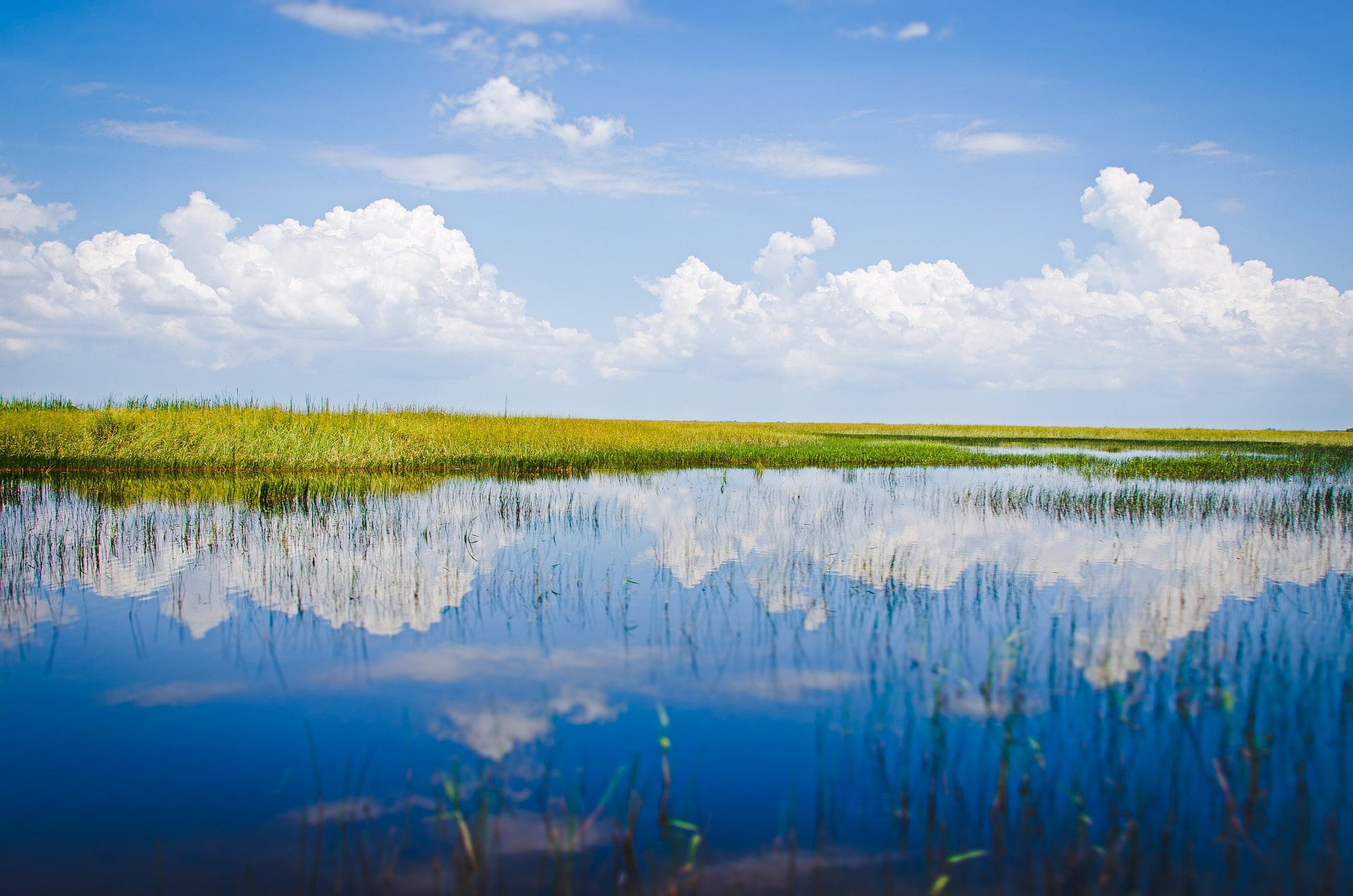 Miami / P.N. Everglades (100 kms) / Orlando (475 kms)