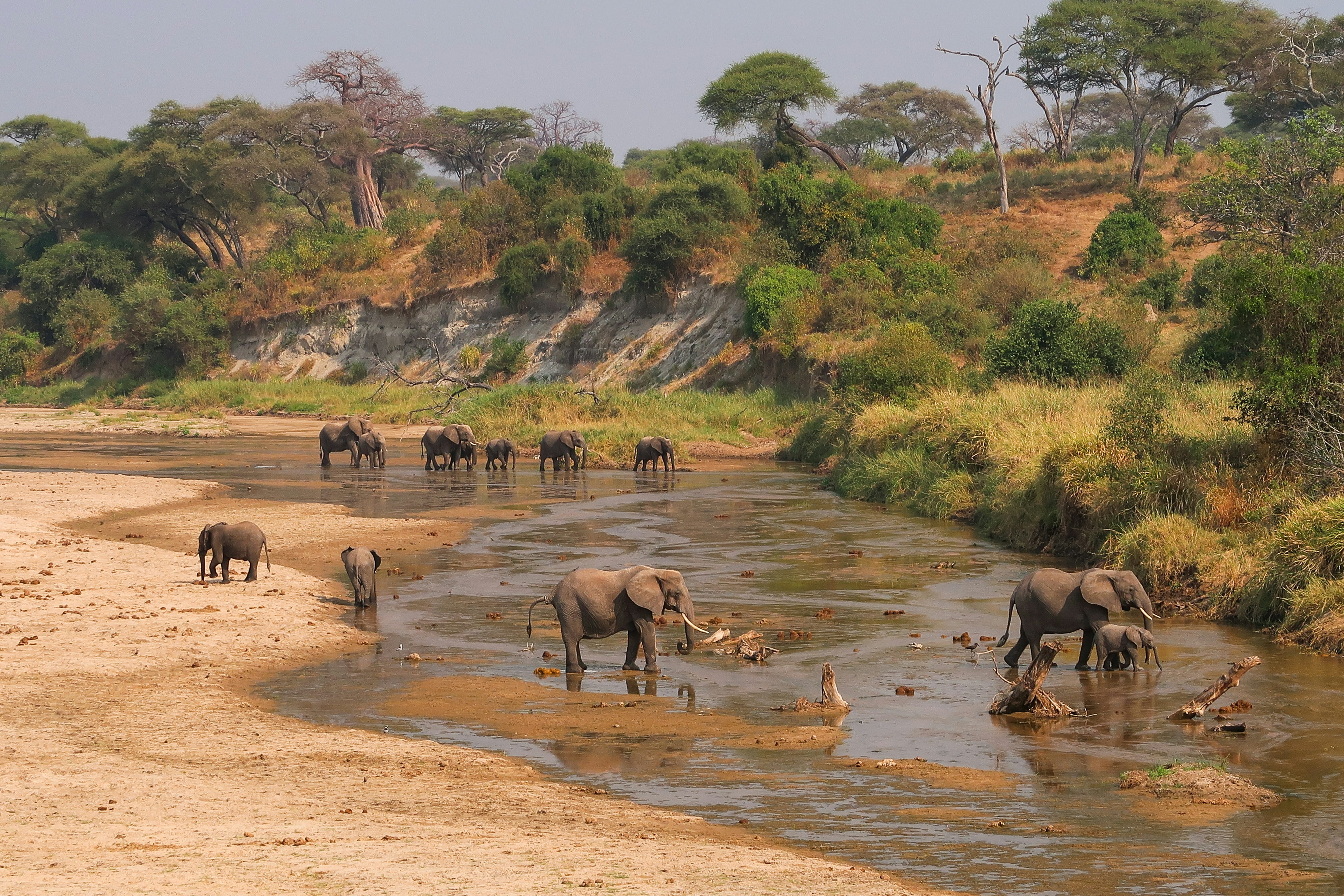 Parque Nacional Tarangire / Parque Nacional Manyara - Karatu