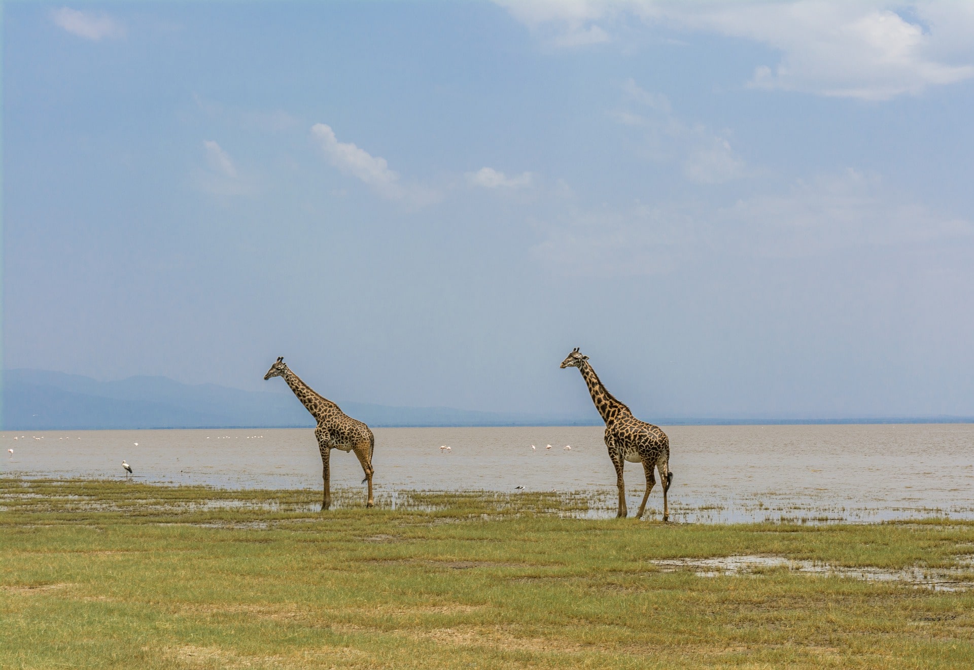 Arusha / Parque Nacional lago Manyara / Karatu