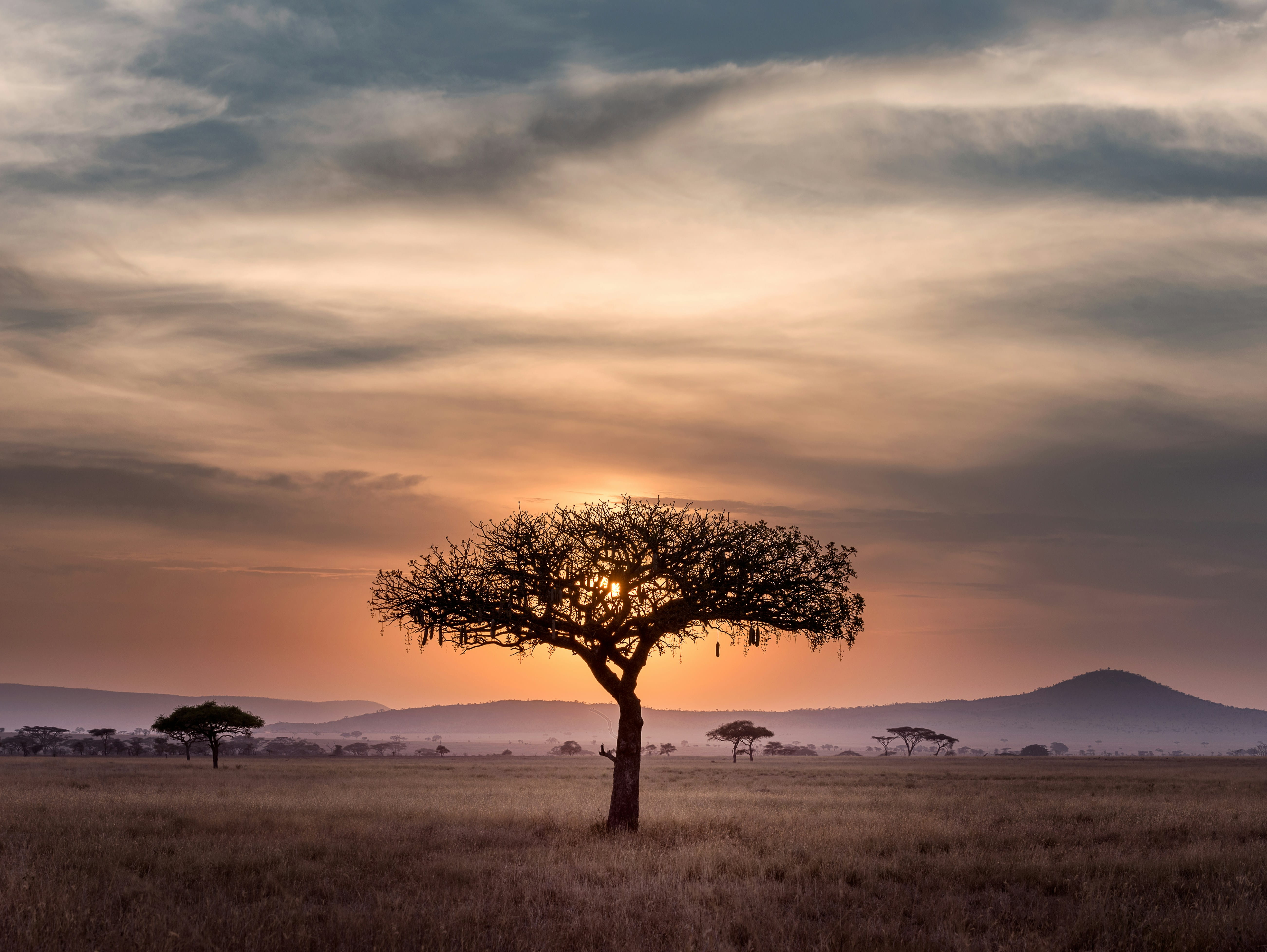 Karatu / Serengeti