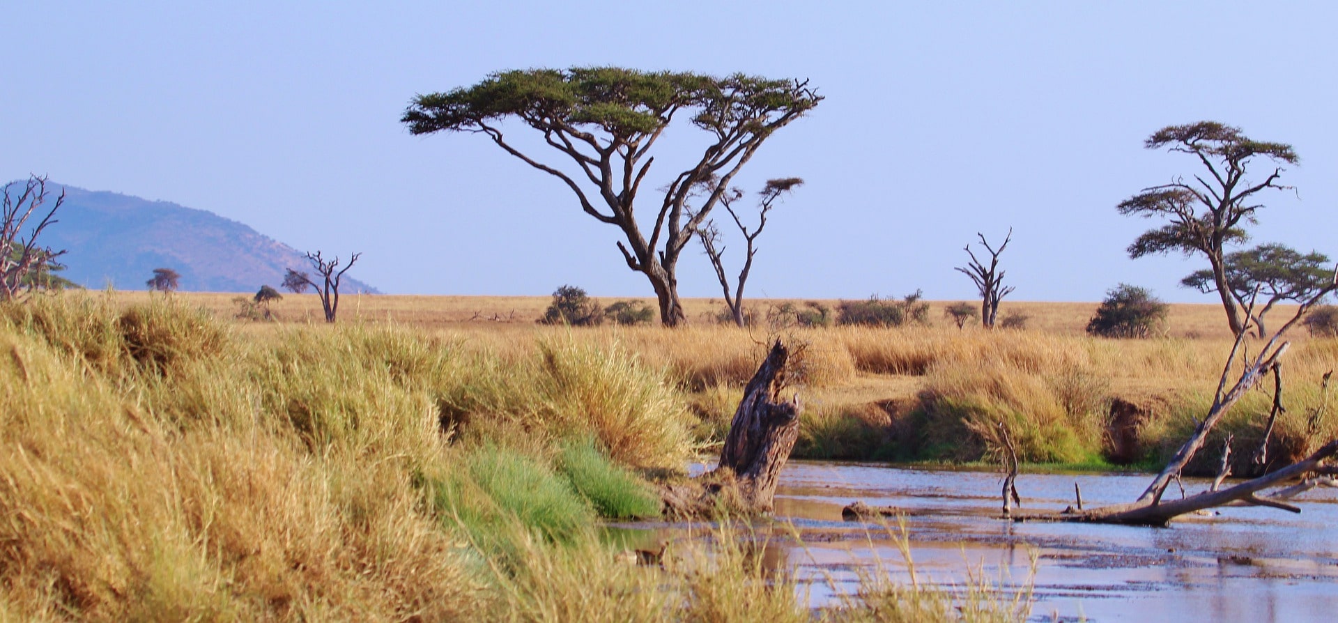 Inolvidable Tanzania