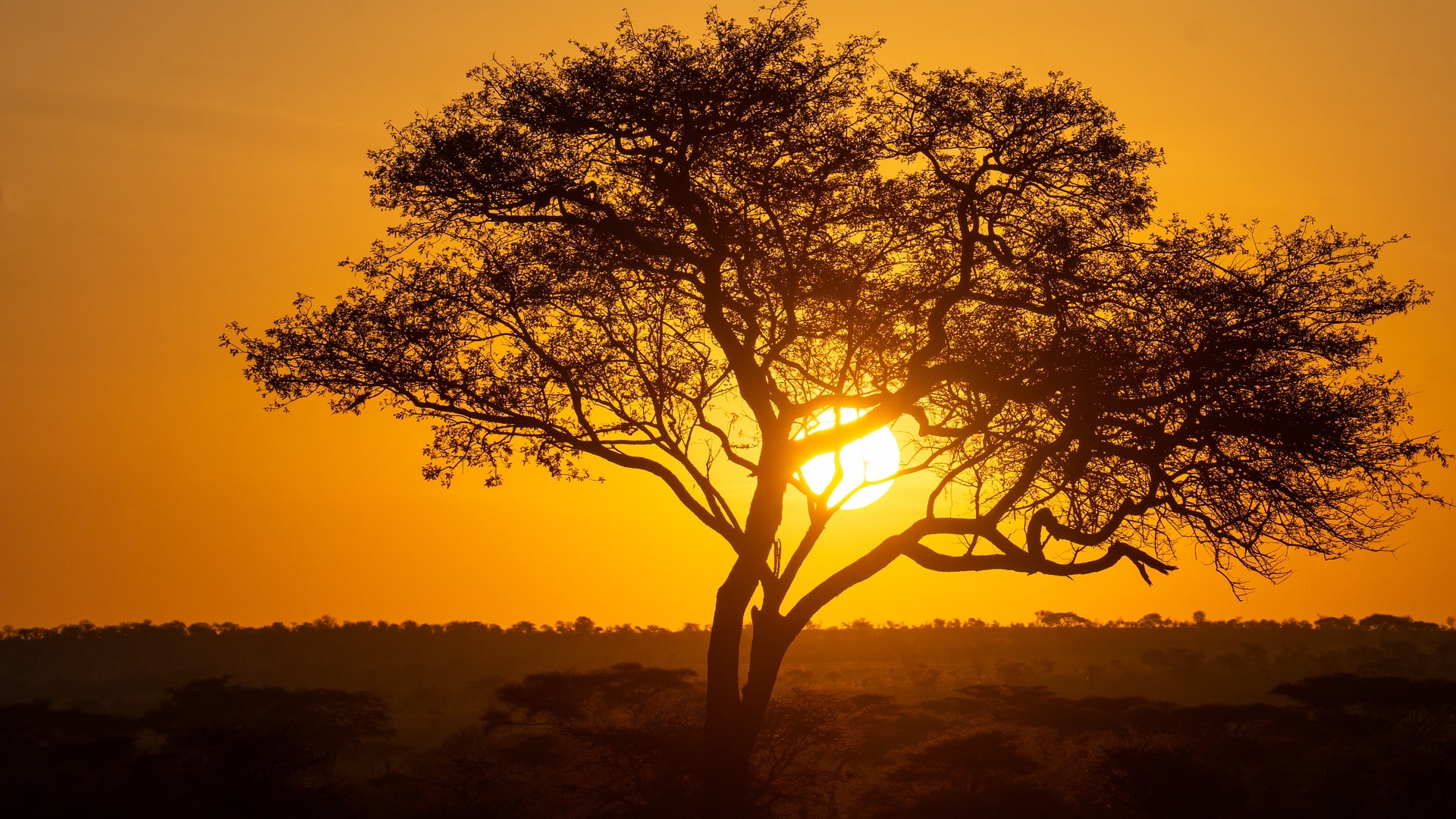 Inolvidable Tanzania