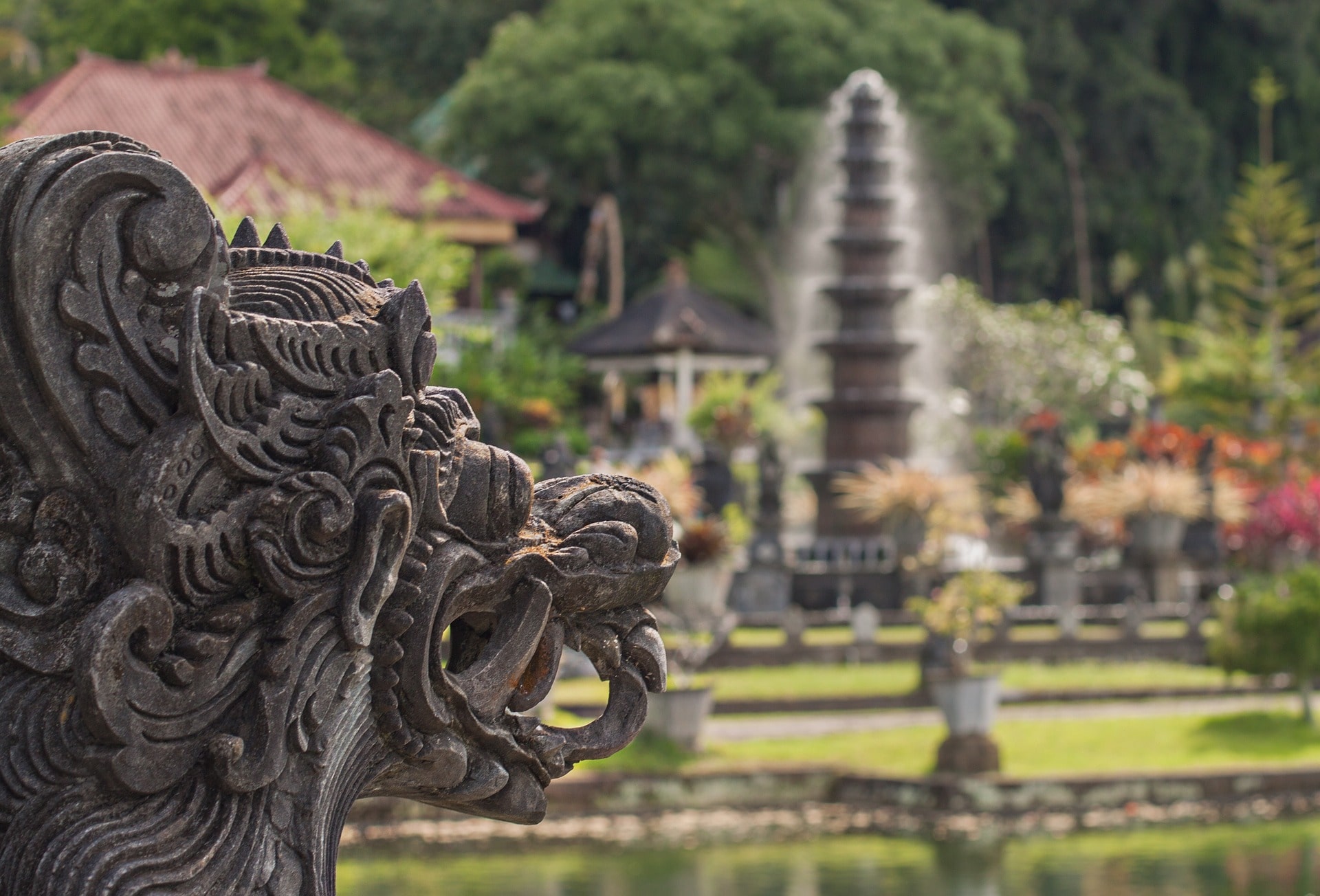 Descubriendo Bali