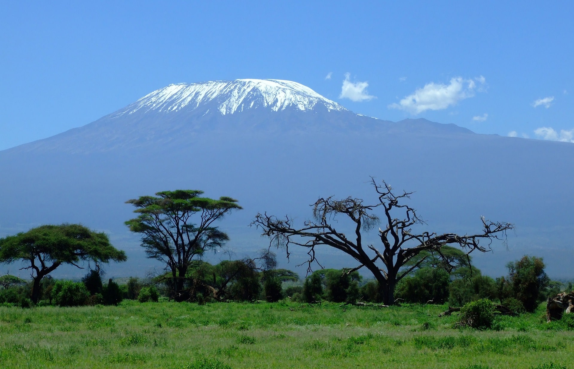 Al pie del Kilimanjaro con extensión a Zanzíbar