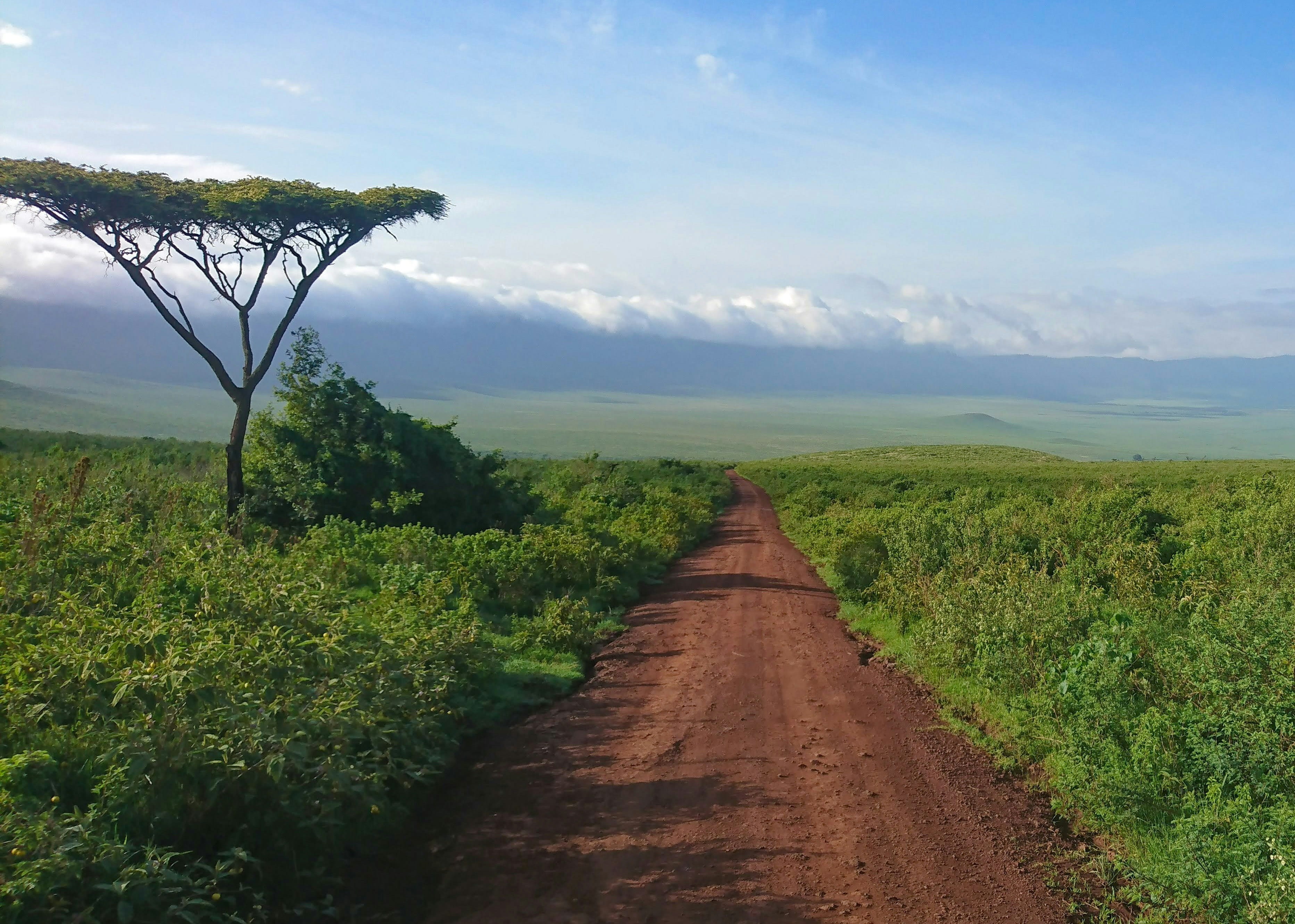 Karatu / Arusha / Zanzíbar