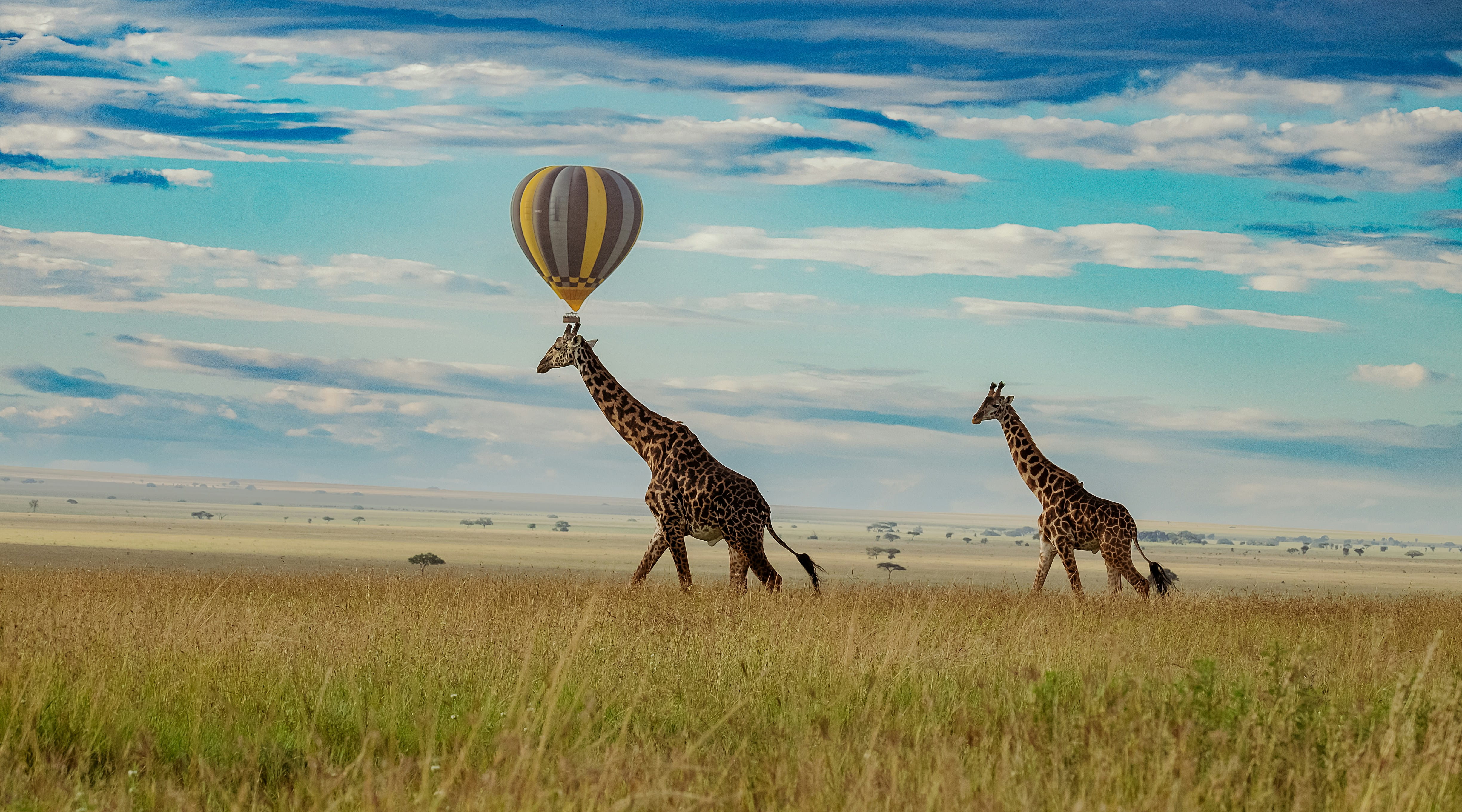 Parque Nacional Serengeti