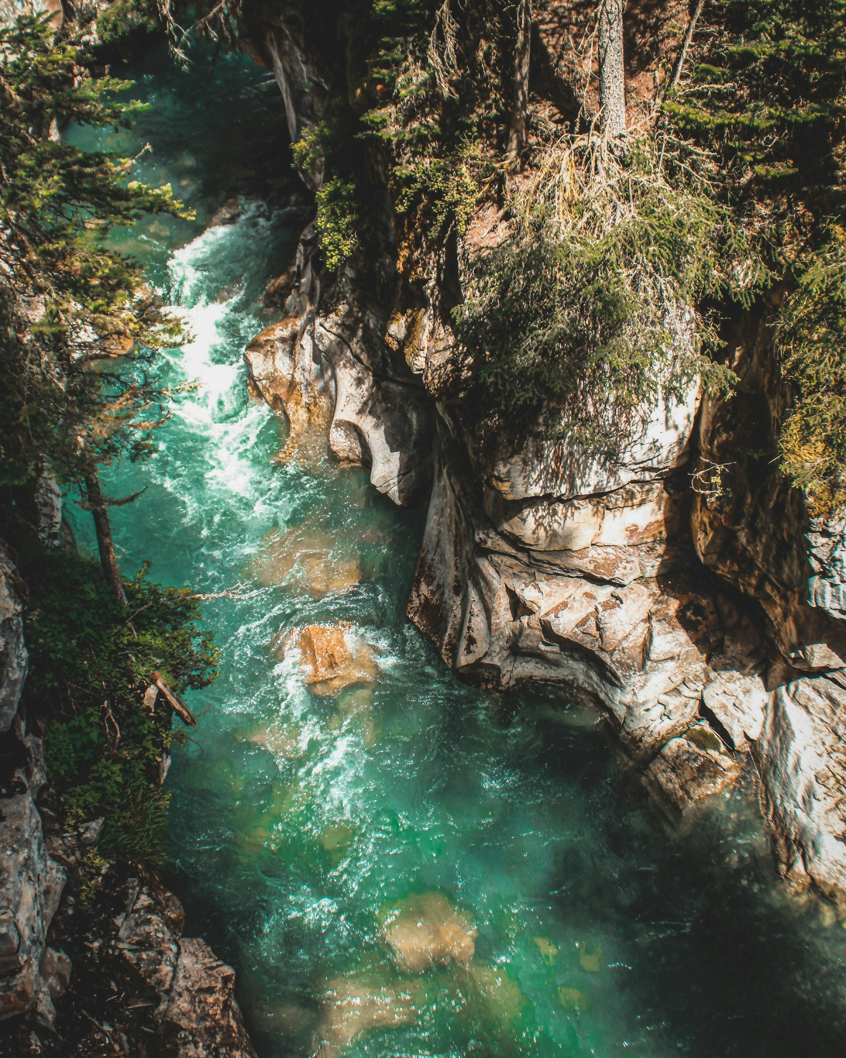 Jasper / Blue River