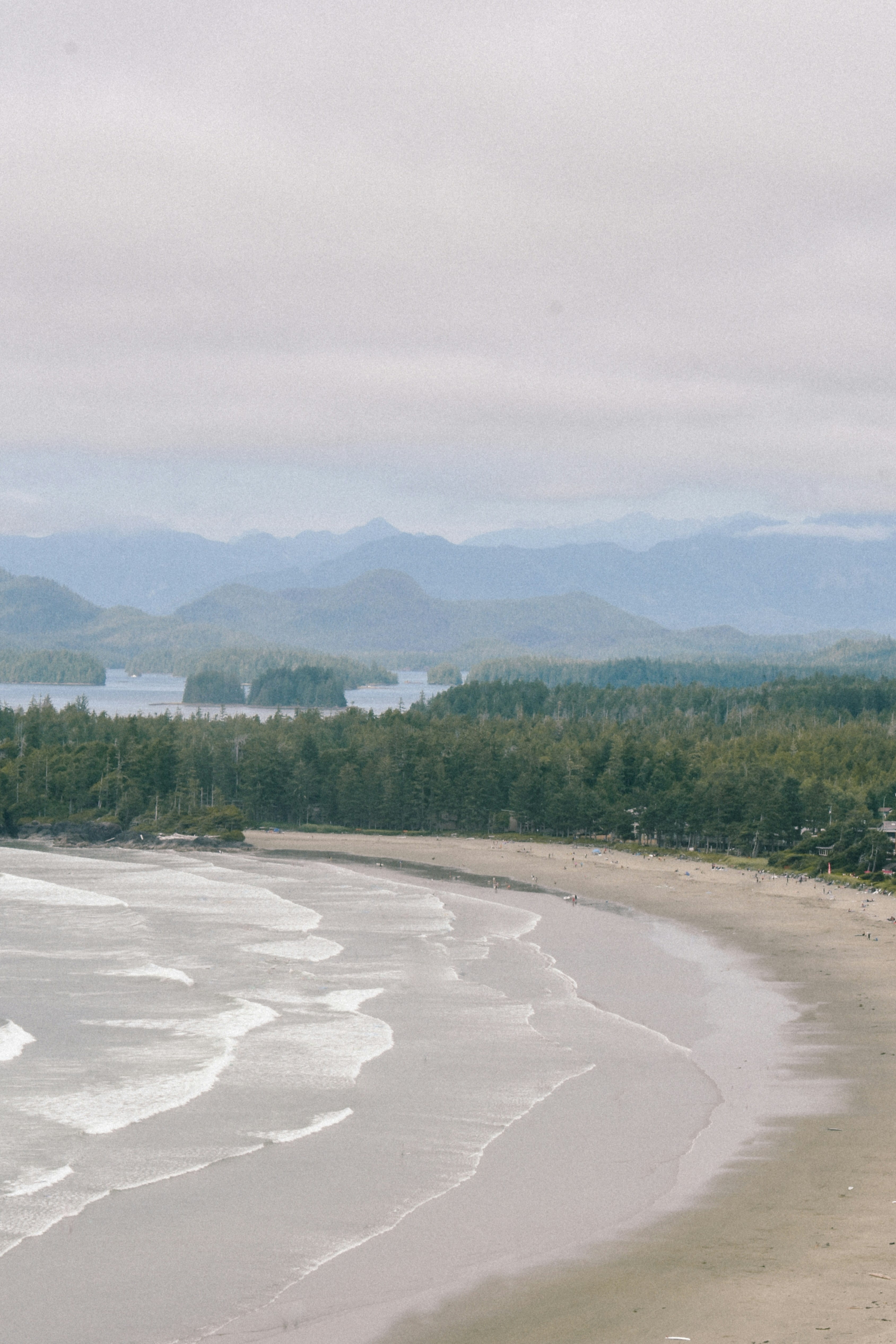 Tofino
