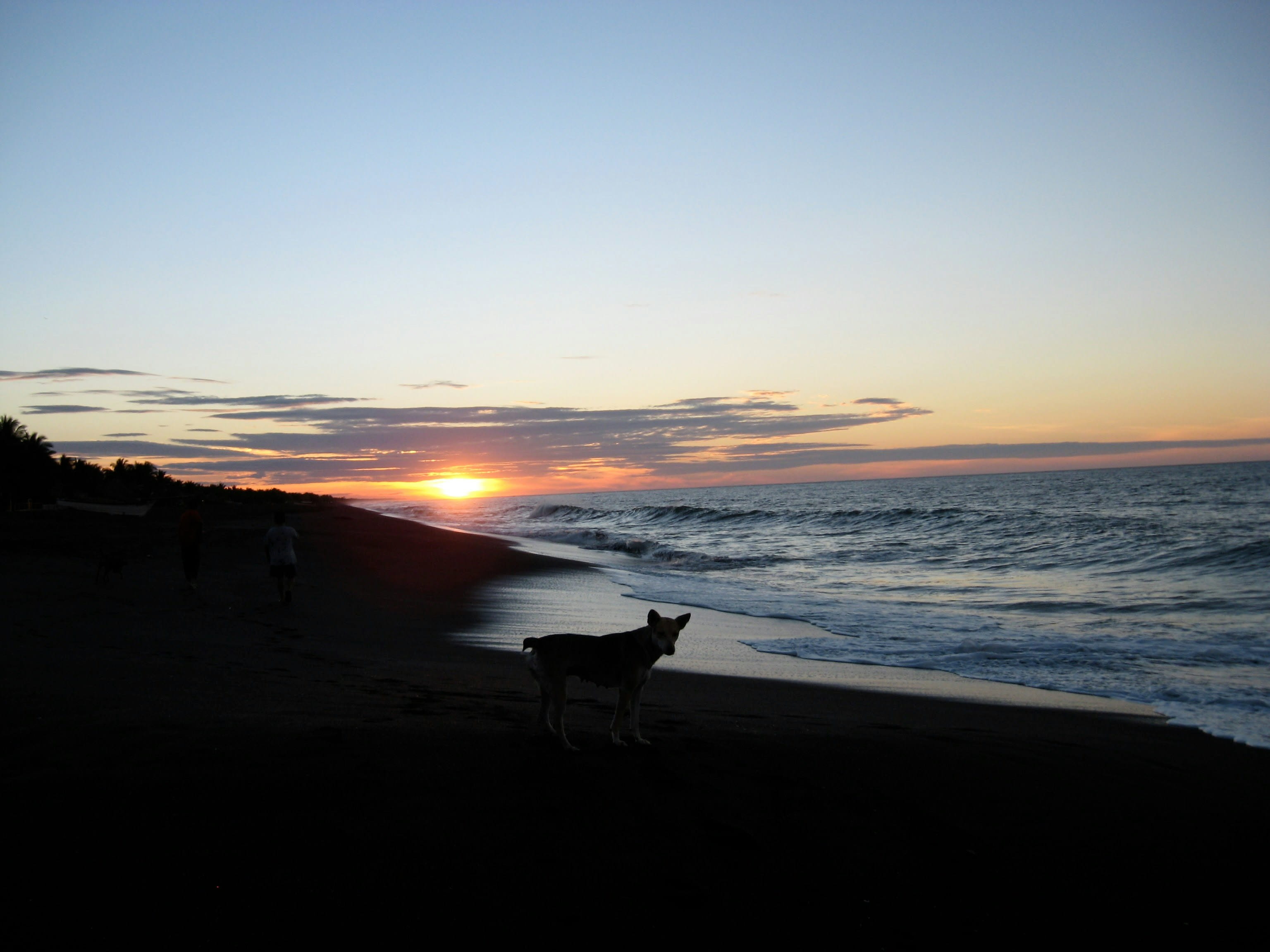 Playas de Monterrico