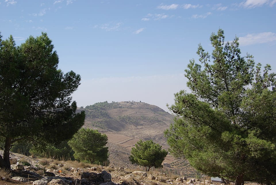 Ammán / Madaba / Monte Nebo / Petra