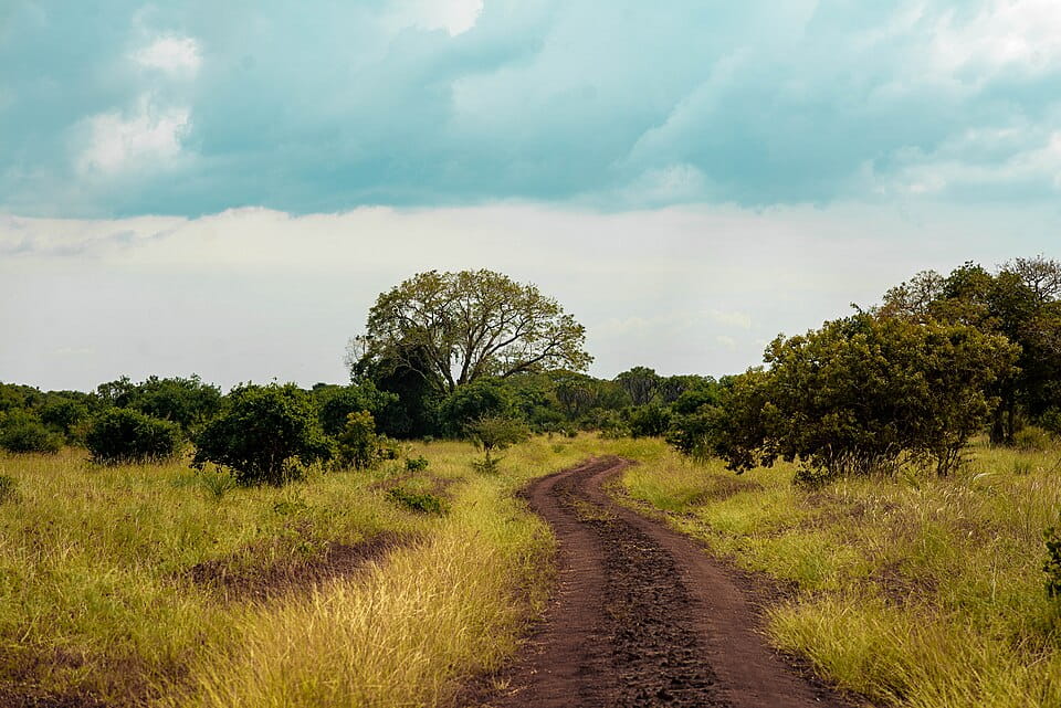 Saadani Safari Lodge