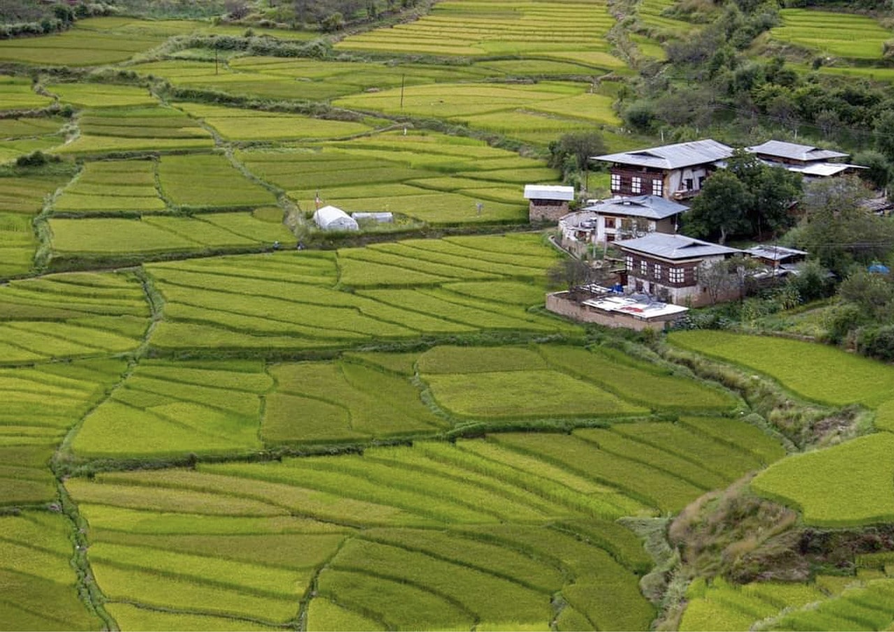 Bután & Sikkim