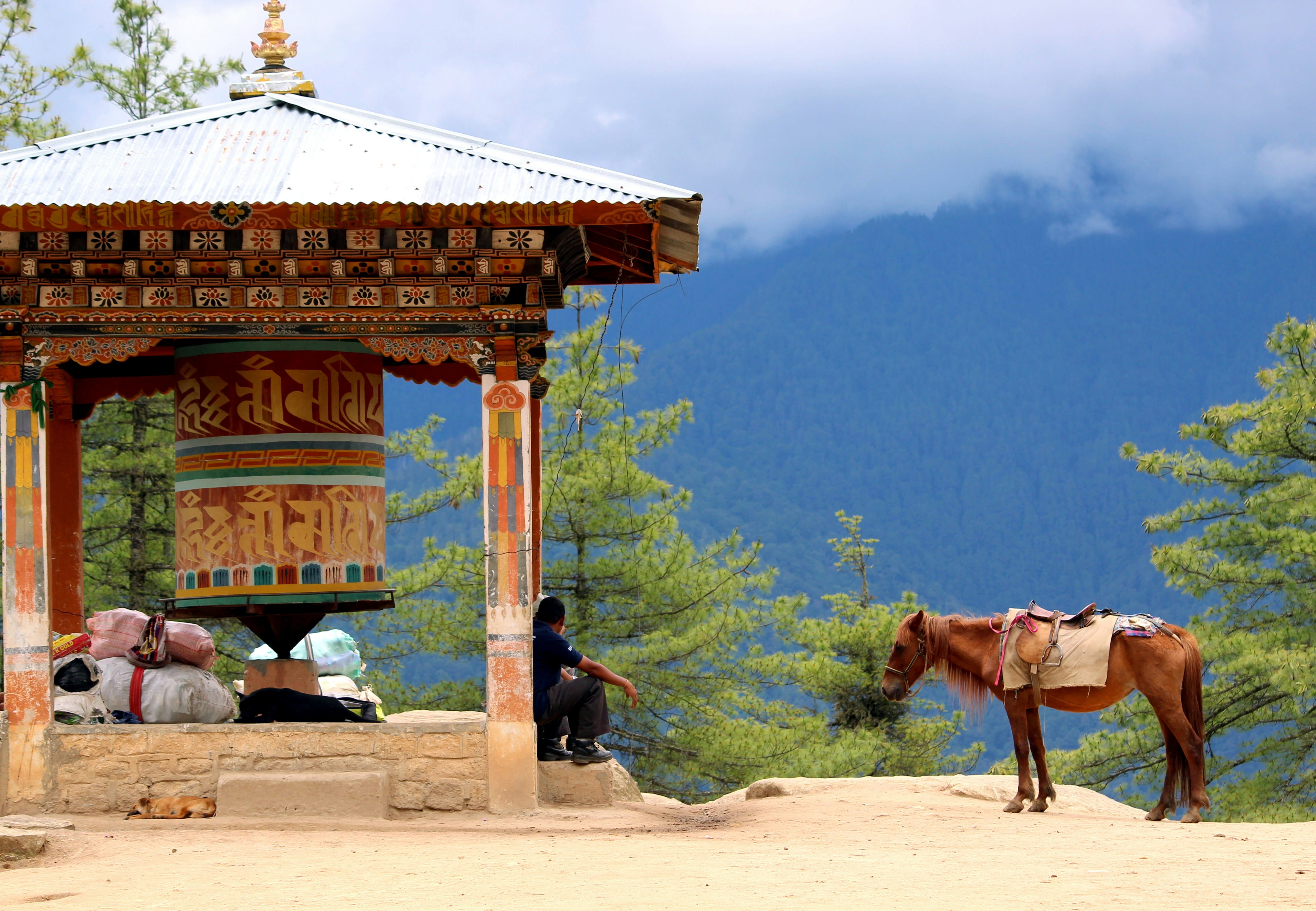 Paro / Delhi