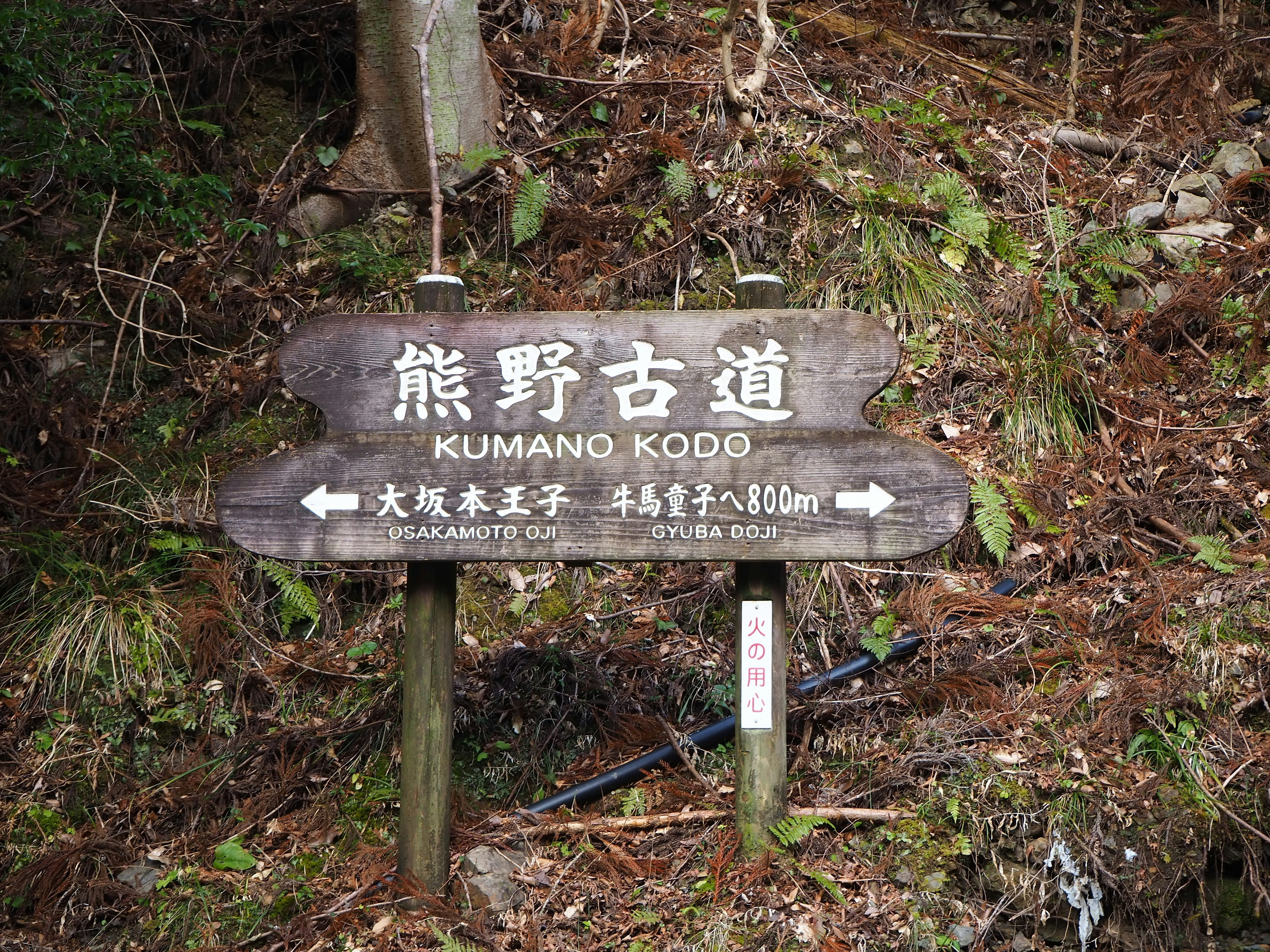 Koyasan / Kumano Kodo / Kawayu Onsen